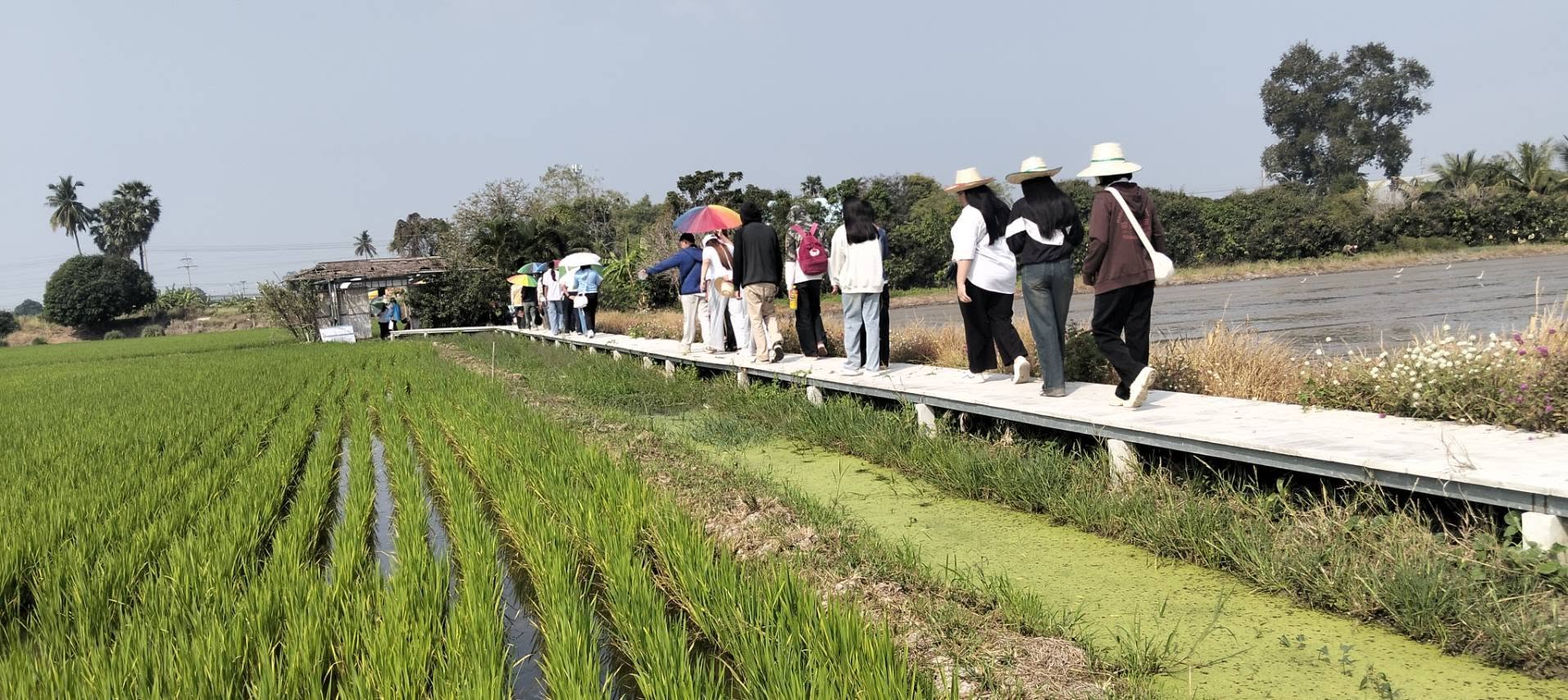 ภาพบรรยากาศ สมหวังที่วังยาง ลำดับที่ 3