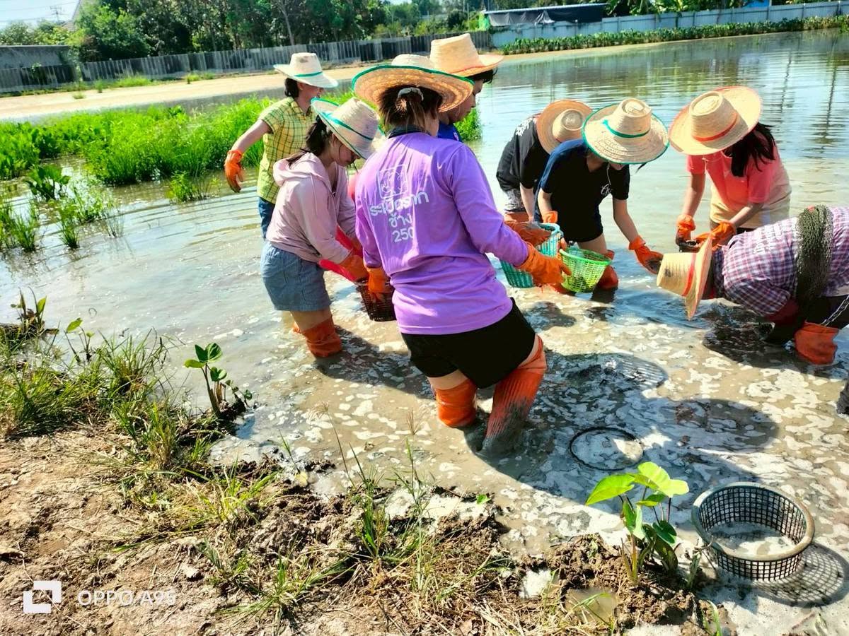 ภาพบรรยากาศ สมหวังที่วังยาง ลำดับที่ 6