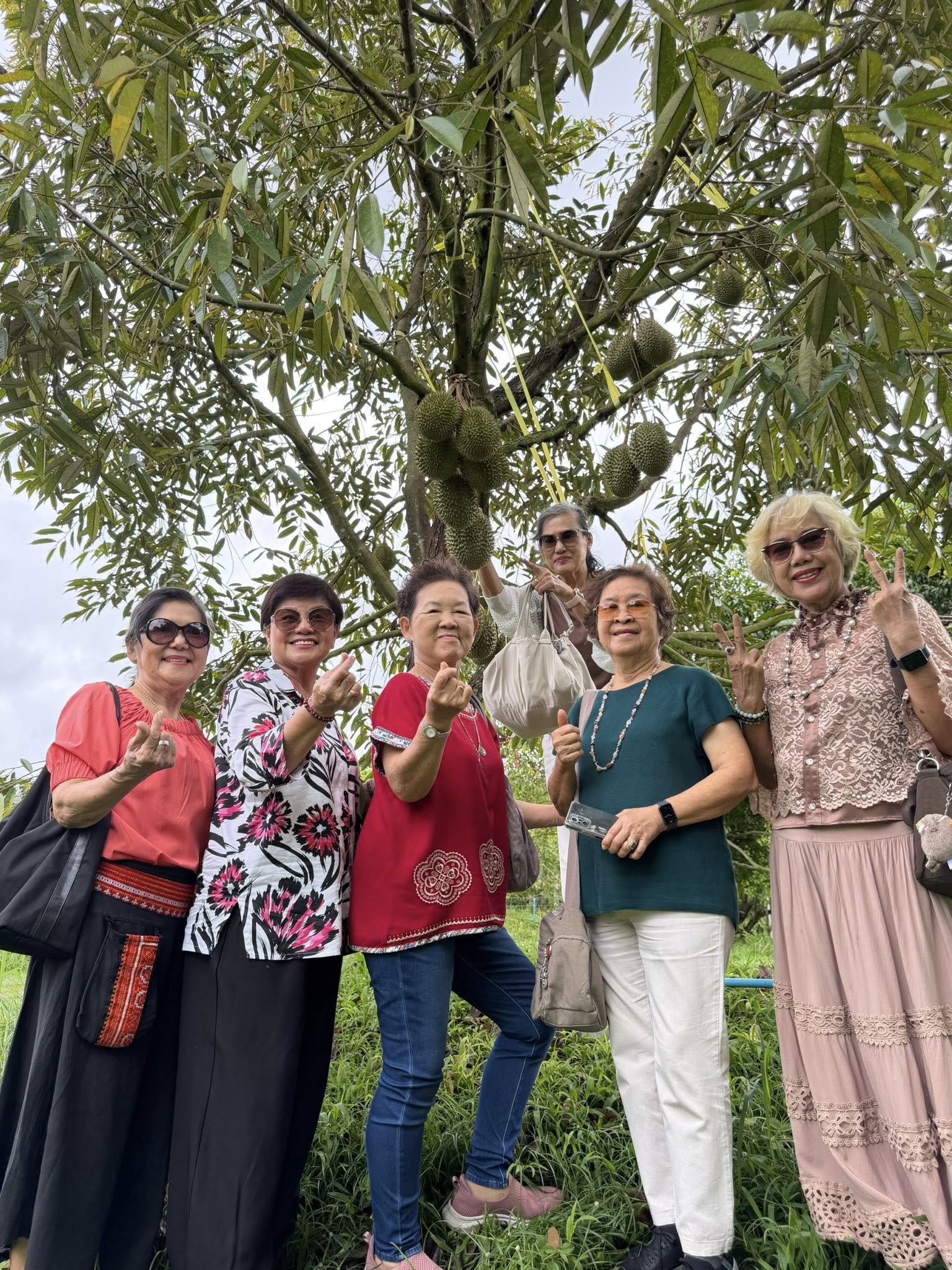 ภาพบรรยากาศ สวนใจใหญ่ (วิสาหกิจชุมชนกลุ่มท่องเที่ยวเชิงเกษตรและไม้ผล) ลำดับที่ 6