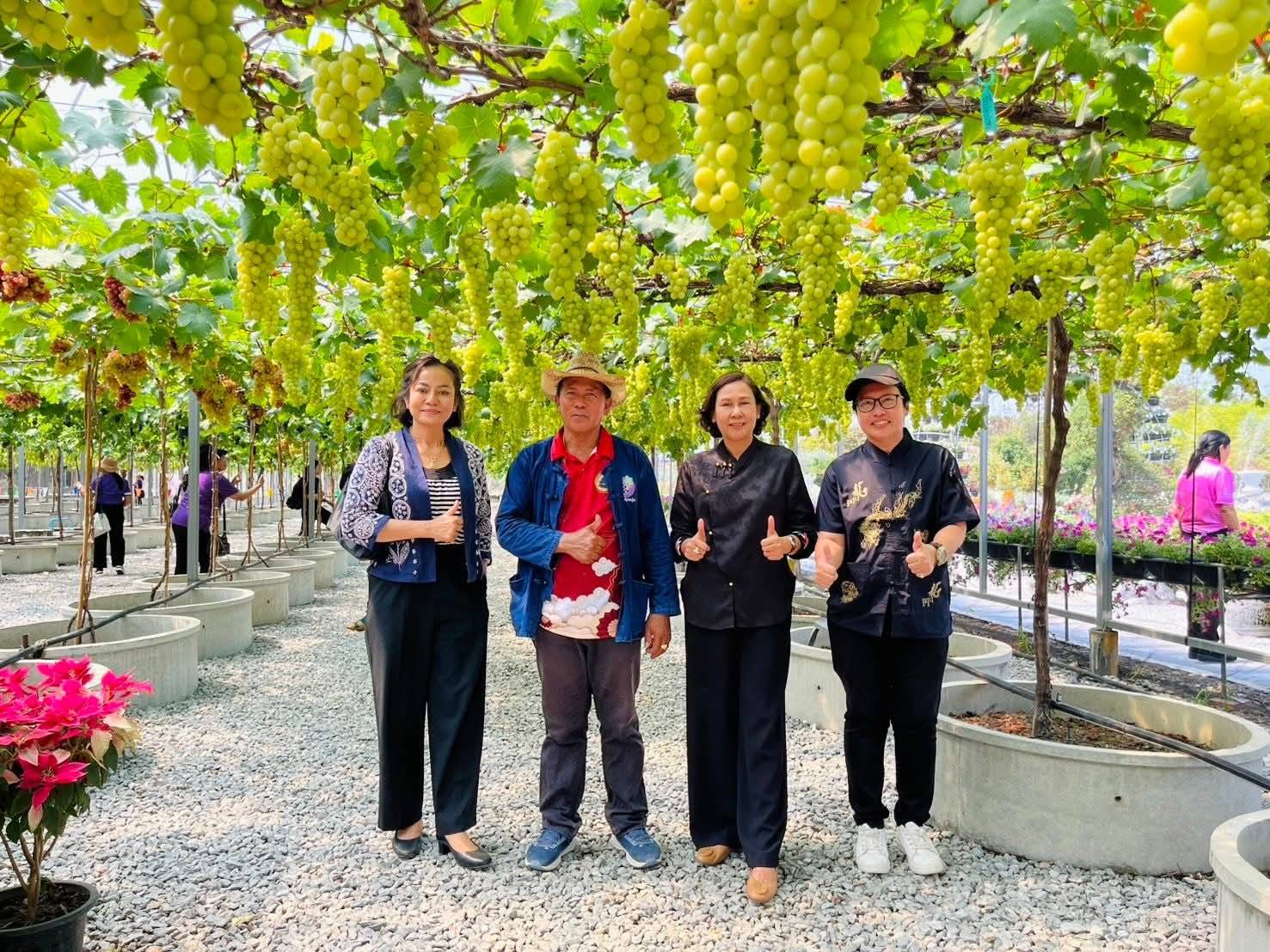 ภาพบรรยากาศ ไร่แนนแนน ลำดับที่ 7