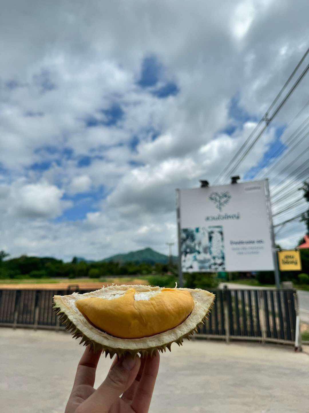 ภาพบรรยากาศ สวนใจใหญ่ (วิสาหกิจชุมชนกลุ่มท่องเที่ยวเชิงเกษตรและไม้ผล) ลำดับที่ 10