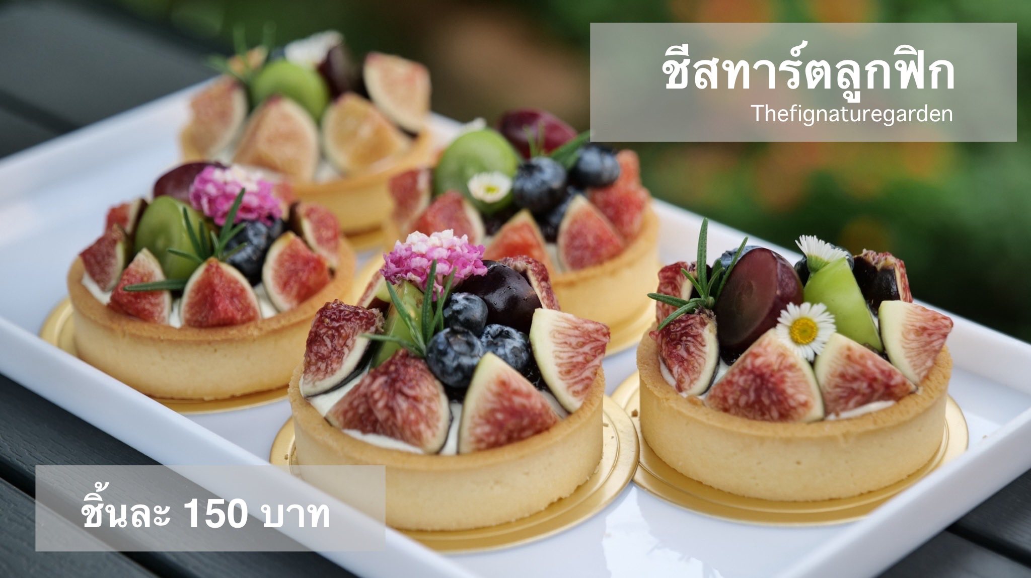 ภาพบรรยากาศ The FIGnature Garden ลำดับที่ 5