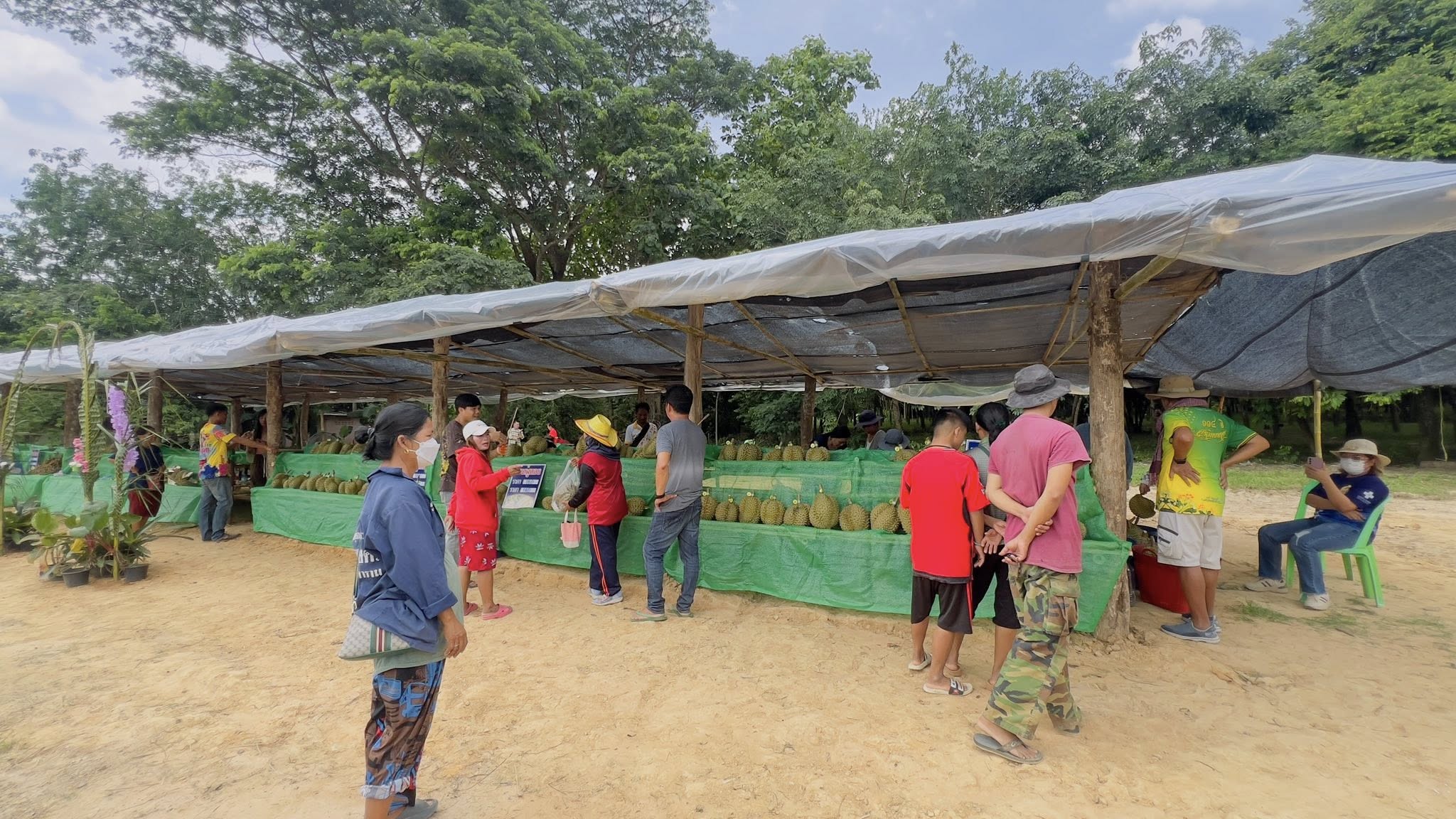 ภาพบรรยากาศ วิสาหกิจชุมชนเกษตรไม้ผลเชิงท่องเที่ยวตำบลจรัส ลำดับที่ 2