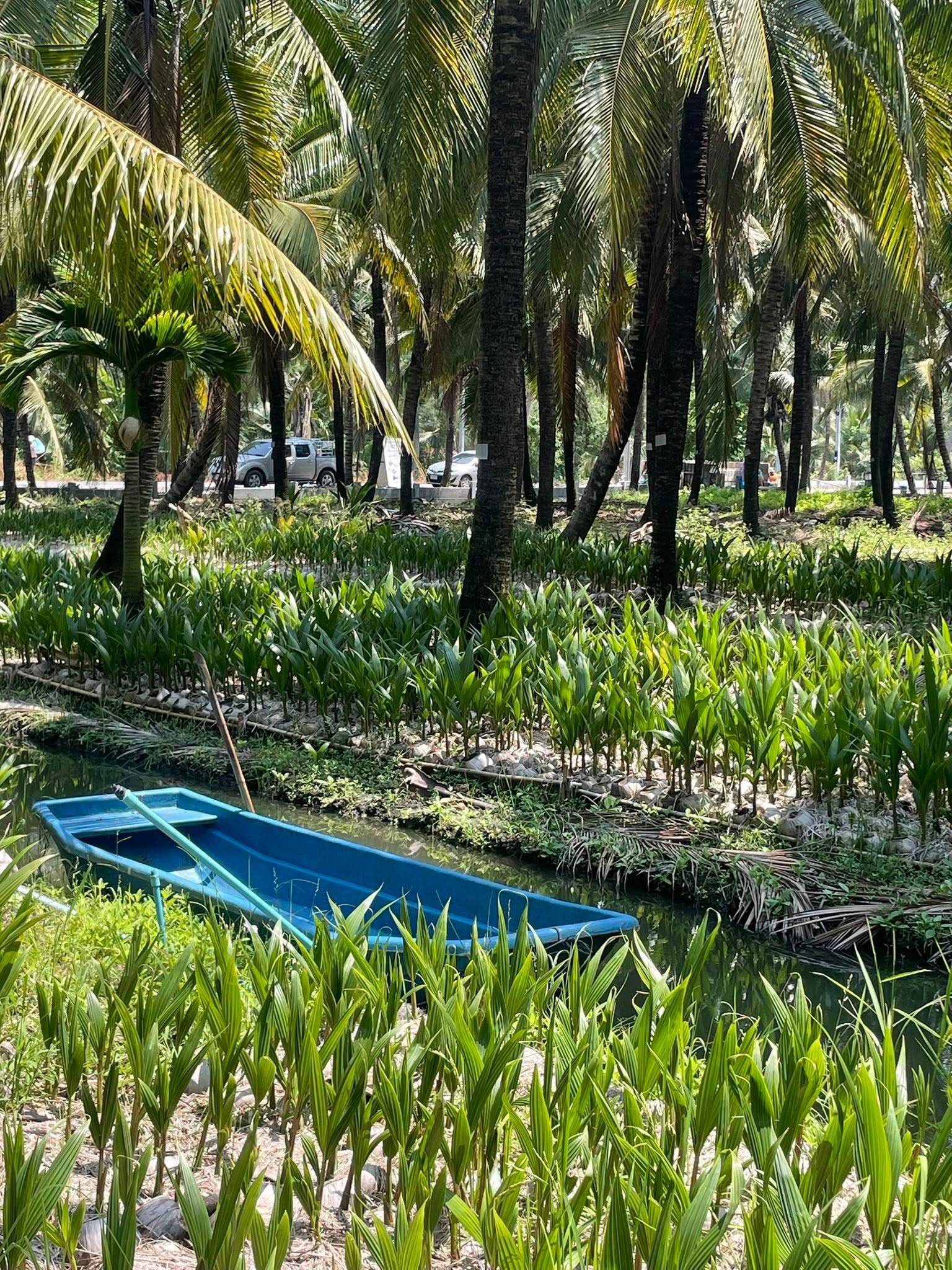ภาพบรรยากาศ วิสาหกิจชุมชนท่องเที่ยวเชิงเกษตร ตำบลหนองสองห้อง ลำดับที่ 4