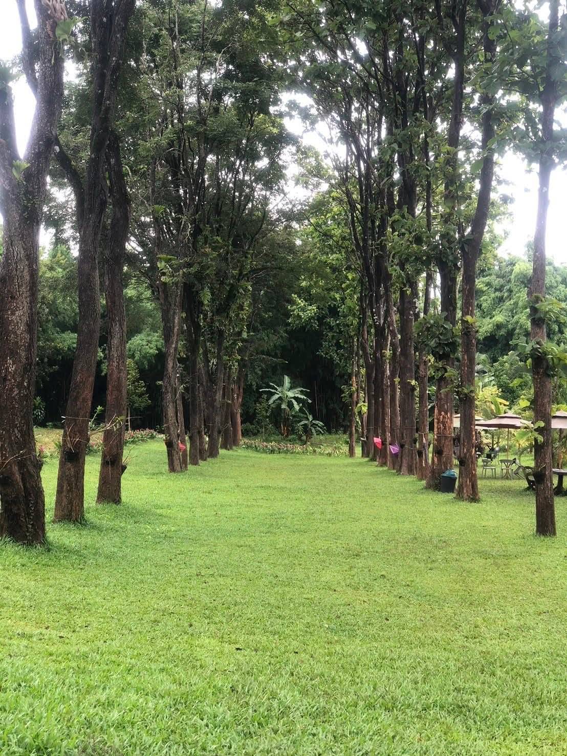 ภาพบรรยากาศ วิสาหกิจชุมชนเกษตรผสมผสานบ้านเสรีราษฎร์ ตำบลช่องแคบ อำเภอพบพระ จังหวัดตาก (สวนพงษ์คุ้มภัย) ลำดับที่ 8