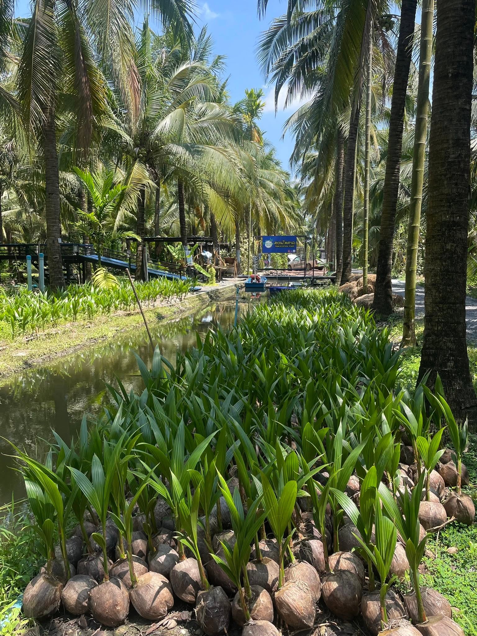 ภาพบรรยากาศ วิสาหกิจชุมชนท่องเที่ยวเชิงเกษตร ตำบลหนองสองห้อง ลำดับที่ 2