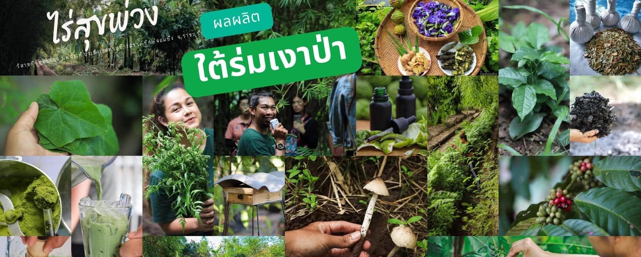 ภาพบรรยากาศ ไร่สุขพ่วง : Rai Sukphoang ลำดับที่ 15