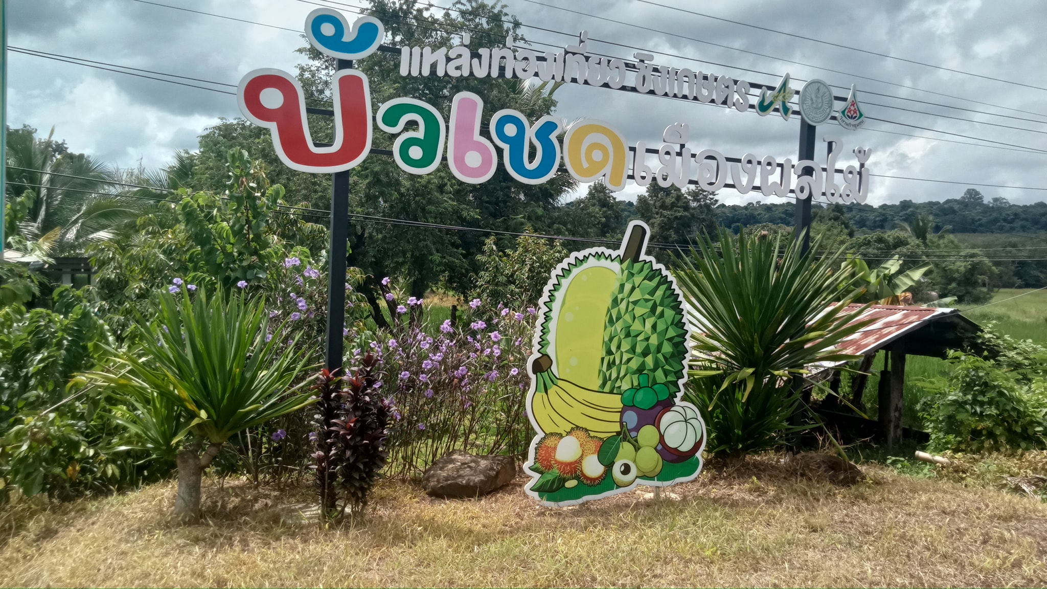 ภาพบรรยากาศ วิสาหกิจชุมชนเกษตรไม้ผลเชิงท่องเที่ยวตำบลจรัส ลำดับที่ 5