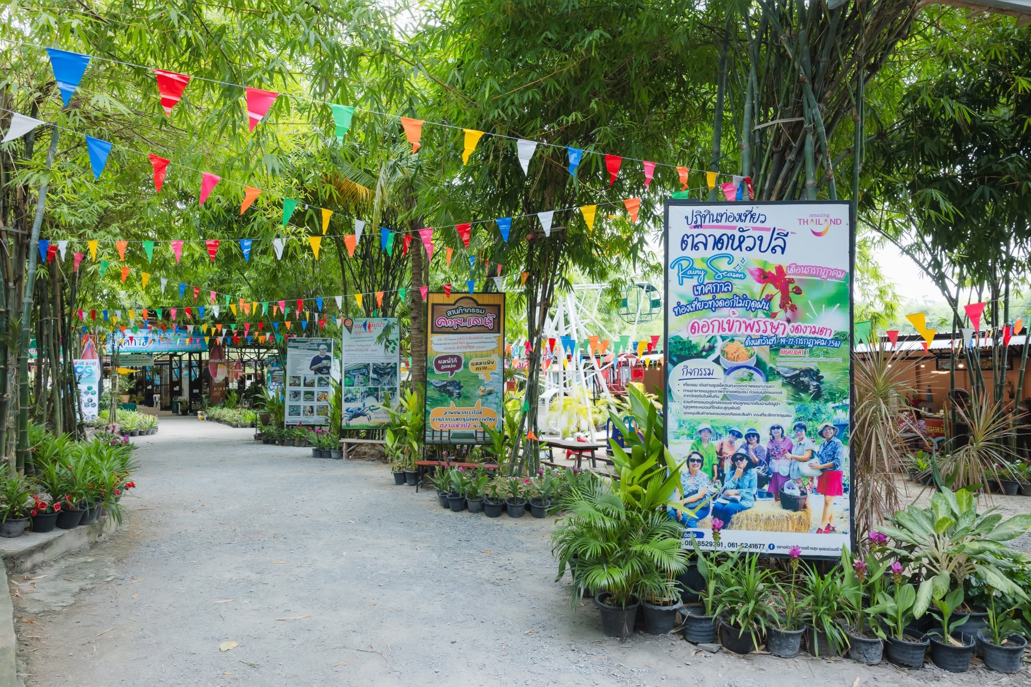 ภาพบรรยากาศ ตลาดหัวปลี ลำดับที่ 4