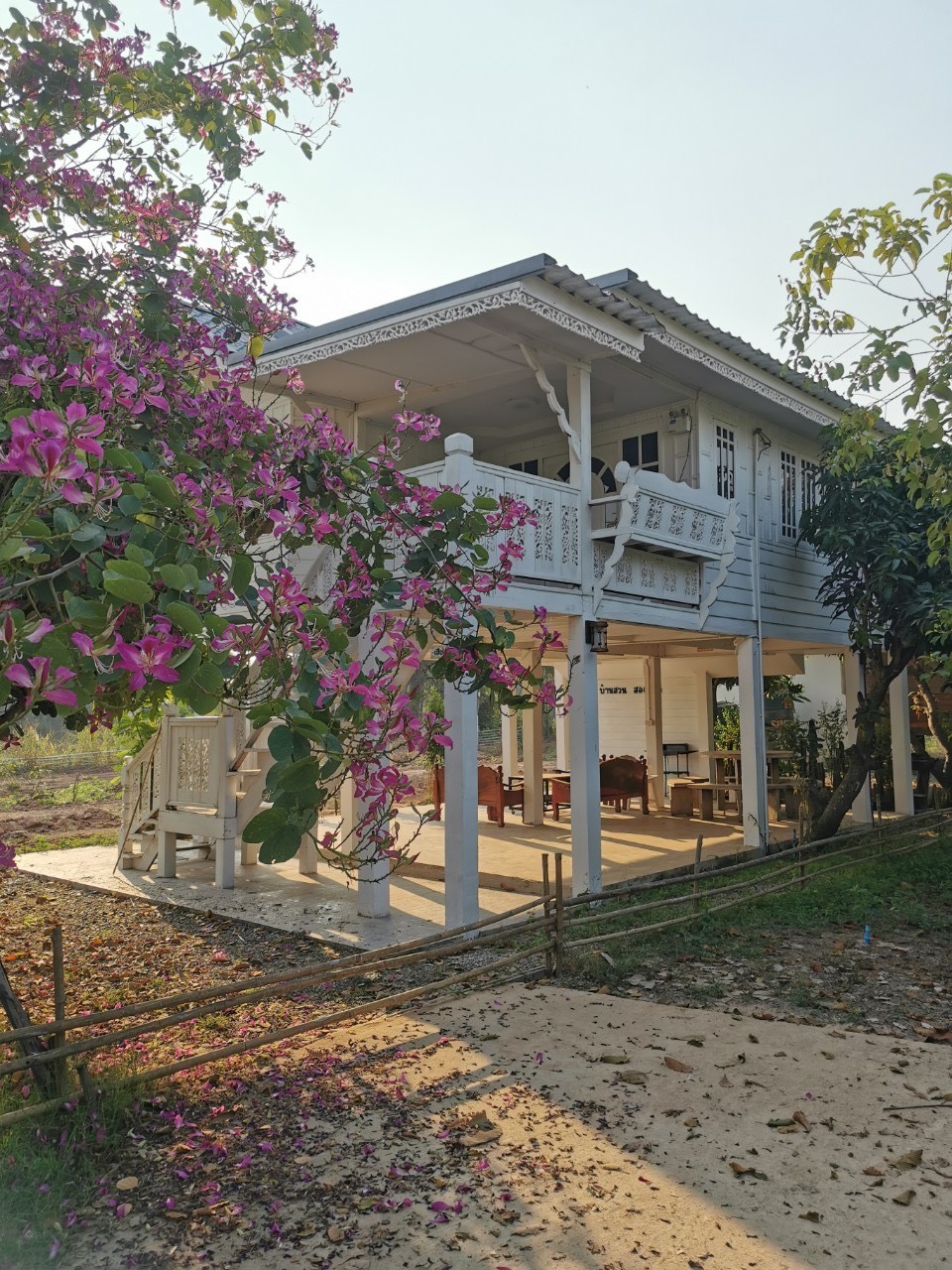 ภาพบรรยากาศ วิสาหกิจชุมชนท่องเที่ยวเชิงเกษตรบ้านท่าช้าง พิษณุโลก ลำดับที่ 5