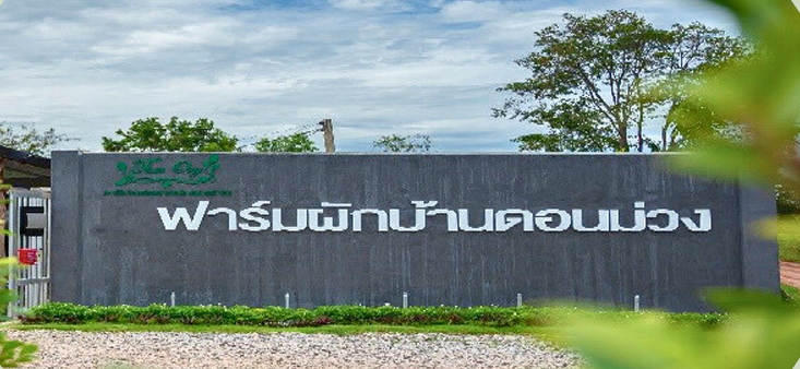 ภาพบรรยากาศ วิสาหกิจชุมชนฟาร์มผักบ้านดอนม่วง ลำดับที่ 10