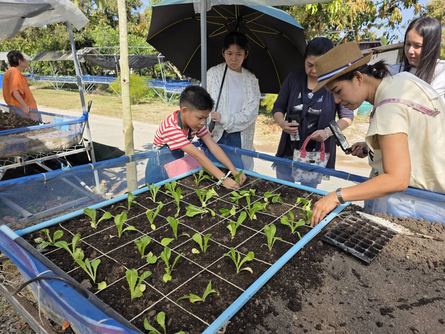 ภาพบรรยากาศ DooDo Backyard Farm ลำดับที่ 5