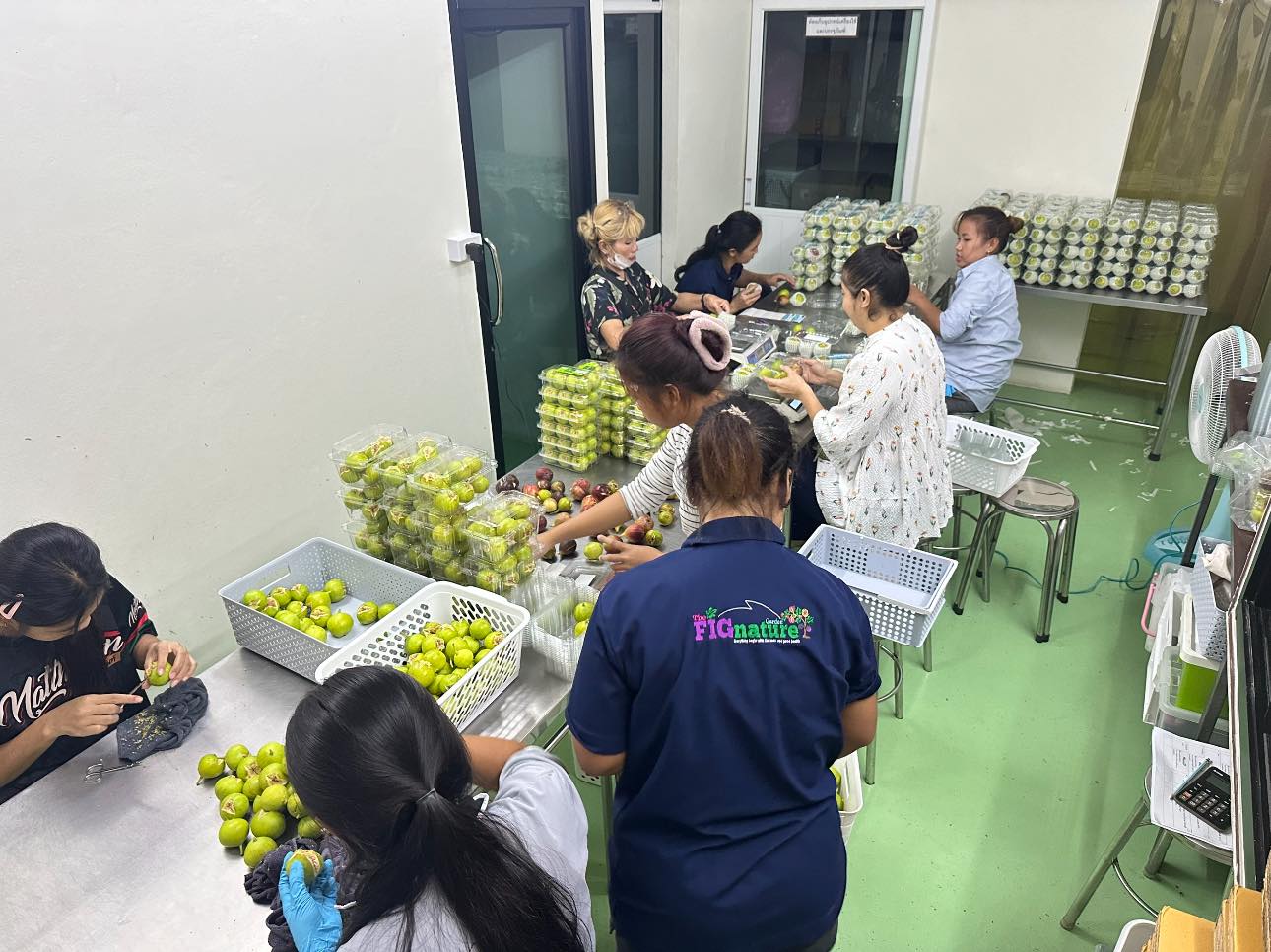 ภาพบรรยากาศ The FIGnature Garden ลำดับที่ 14