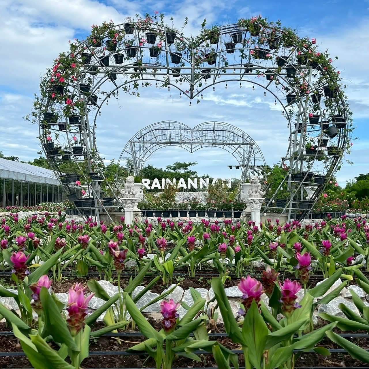 ภาพบรรยากาศ ไร่แนนแนน ลำดับที่ 8