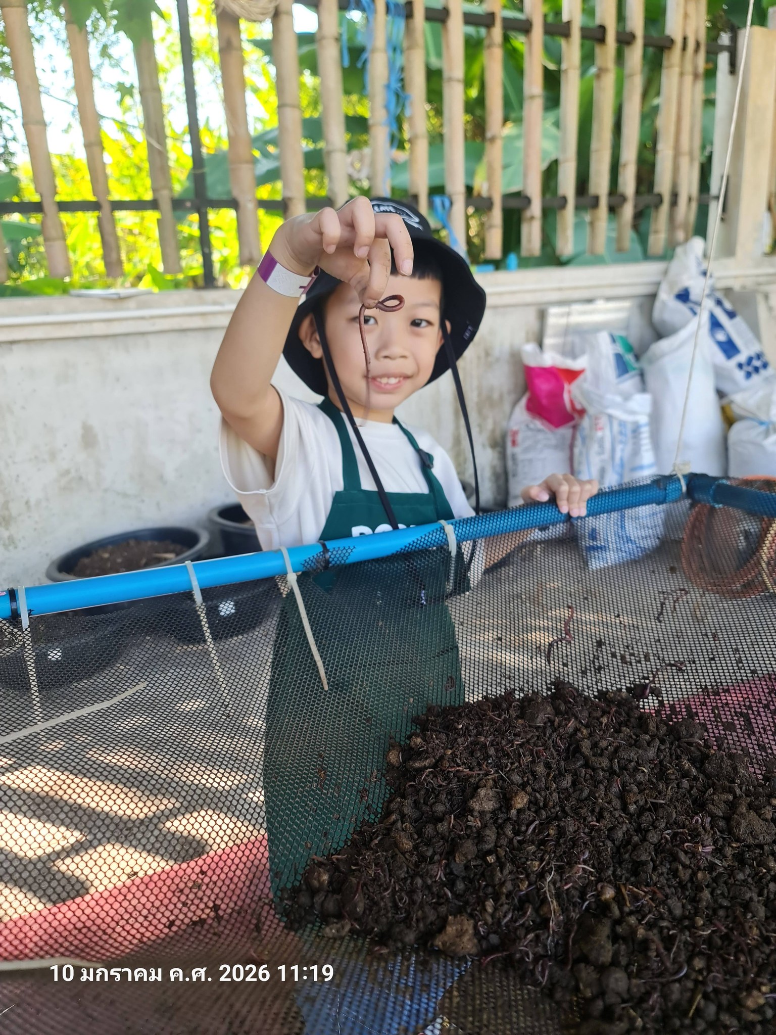 ภาพบรรยากาศ DooDo Backyard Farm ลำดับที่ 4