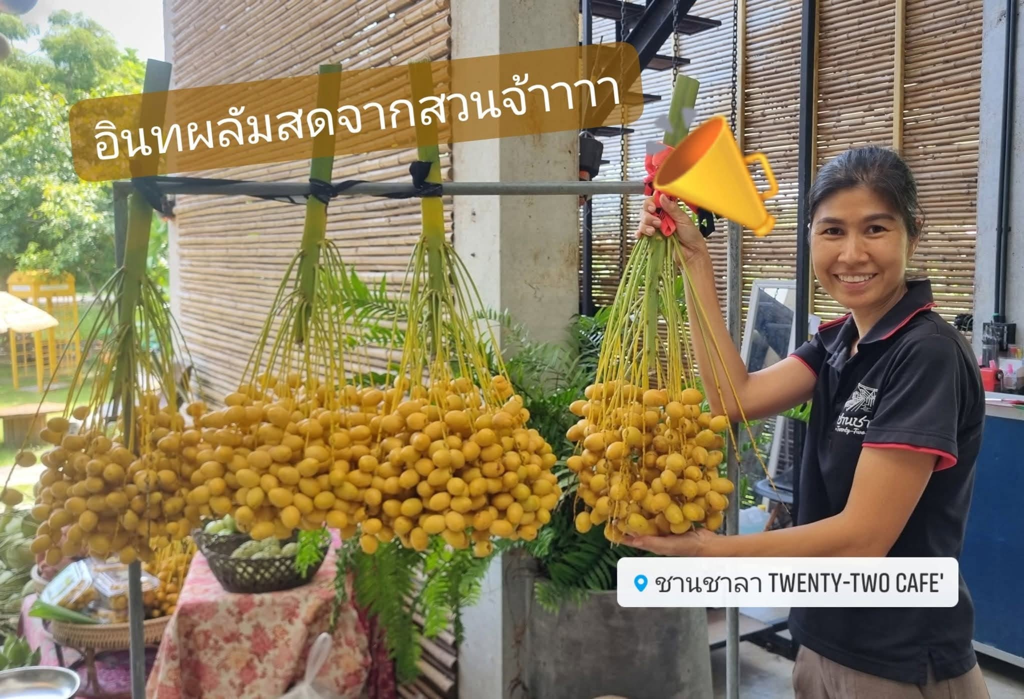 ภาพบรรยากาศ ชานชาลา Twenty-two cafe' ลำดับที่ 7