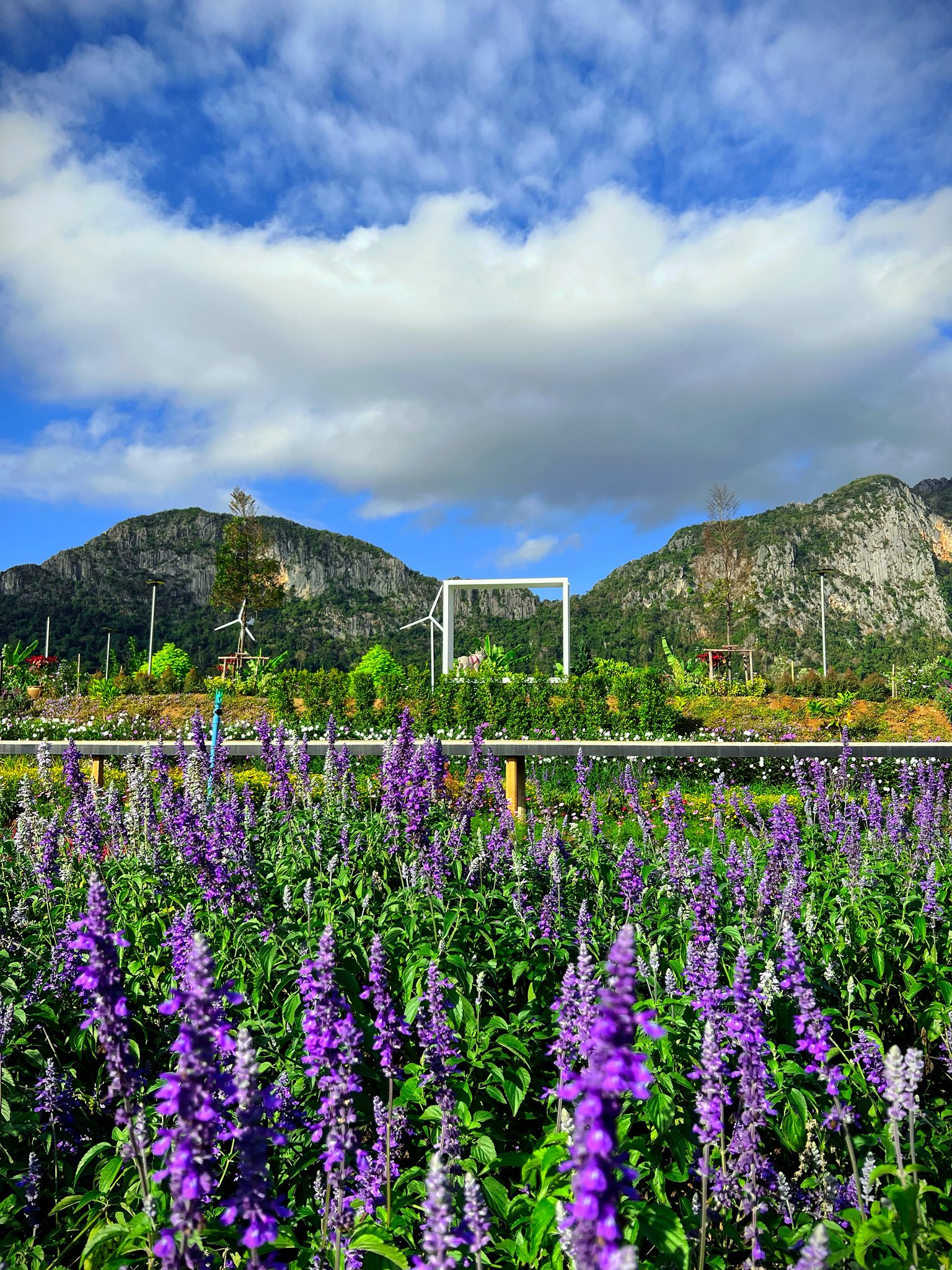 ภาพบรรยากาศ วิสาหกิจชุมชนกลุ่มแปรรูปสมุนไพรทับทิมสยาม05 ลำดับที่ 1