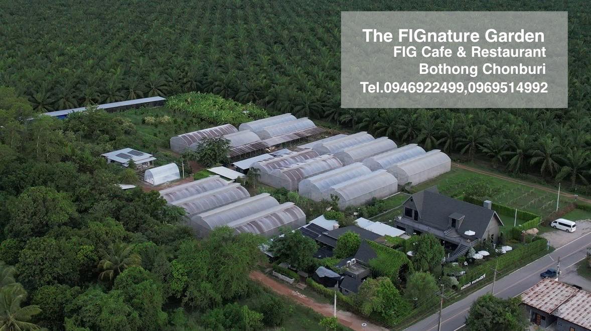 ภาพบรรยากาศ The FIGnature Garden ลำดับที่ 1