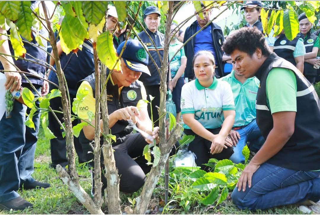 ภาพบรรยากาศ แหล่งท่องเที่ยวเชิงเกษตรวิสาหกิจชุมขนผลิตกาแฟพรีเมี่ยมกาแฟโรบัสต้า จ.สตูล ลำดับที่ 12