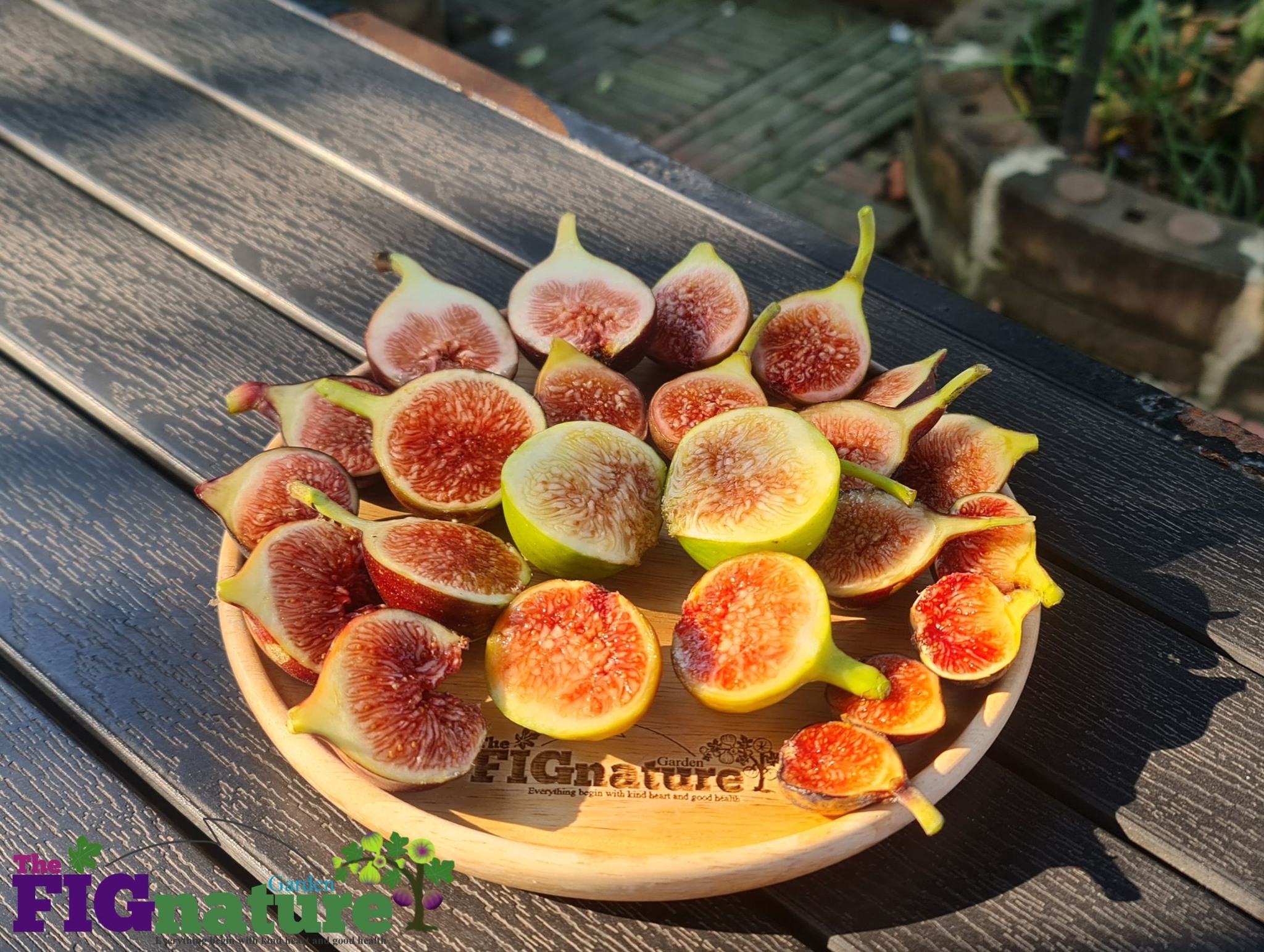 ภาพบรรยากาศ The FIGnature Garden ลำดับที่ 6