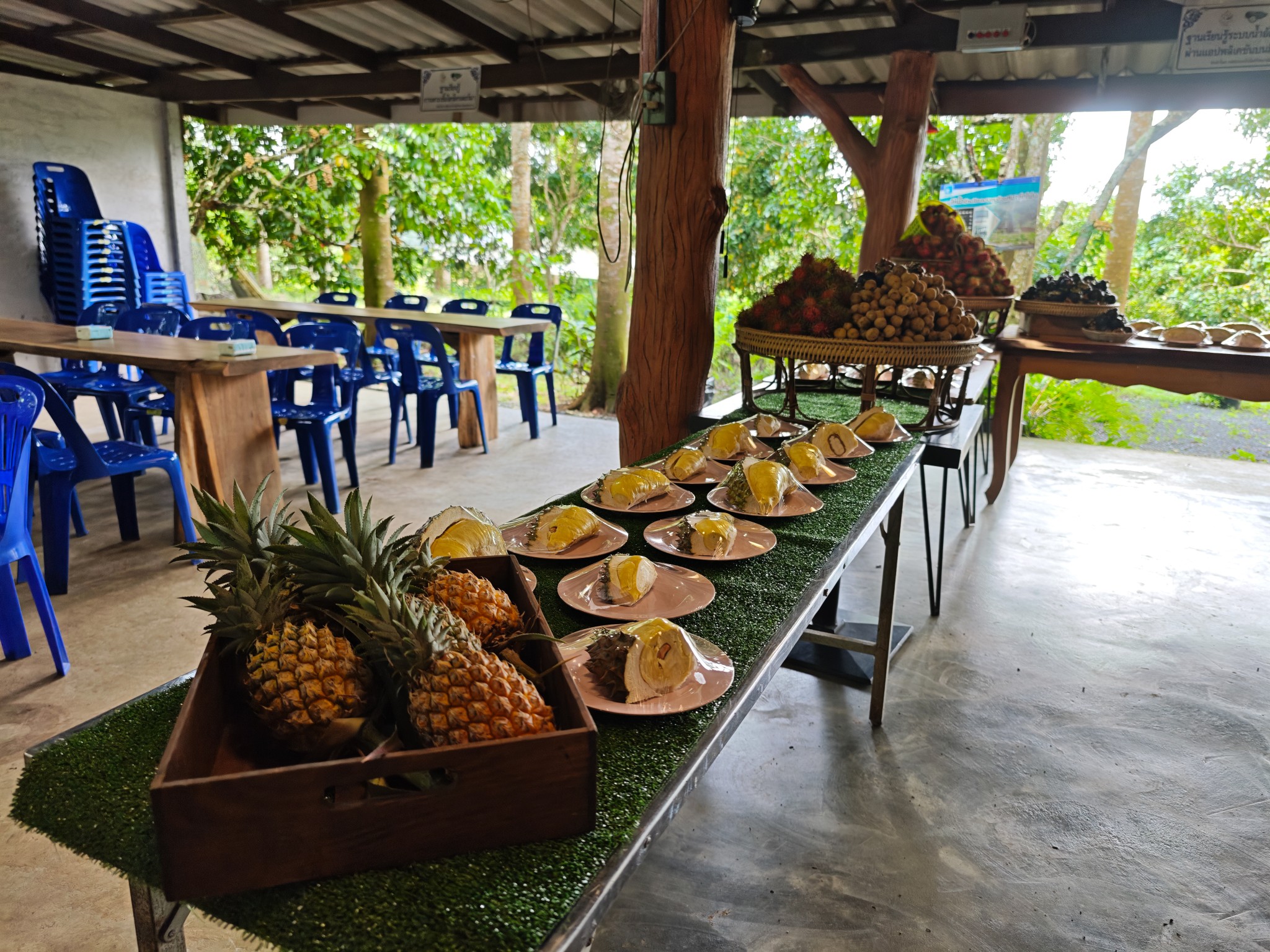 ภาพบรรยากาศ สวนผลอำไพ - Organic fruit ลำดับที่ 12