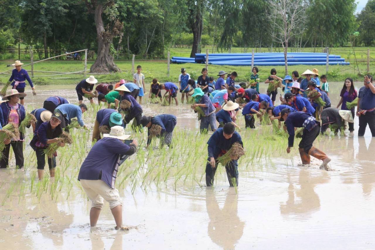 ภาพบรรยากาศ วิสาหกิจชุมชนท่องเที่ยวบ้านท่าลาด ลำดับที่ 11