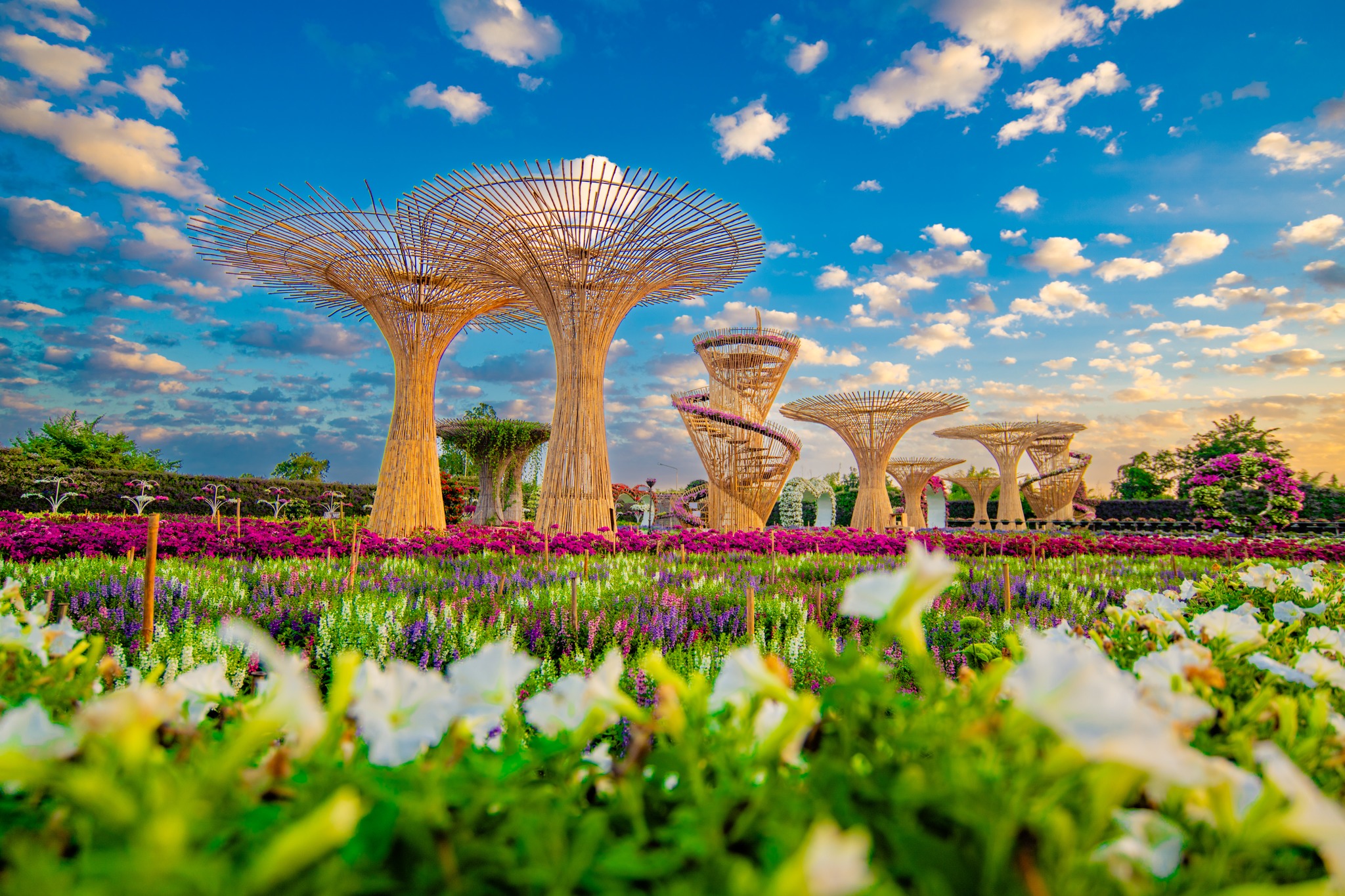 ภาพบรรยากาศ Maple Gardens - สวนเมเปิ้ล กาญจนบุรี ลำดับที่ 14