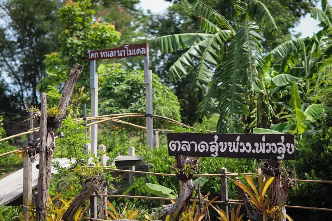 ภาพบรรยากาศ ไร่สุขพ่วง : Rai Sukphoang ลำดับที่ 2