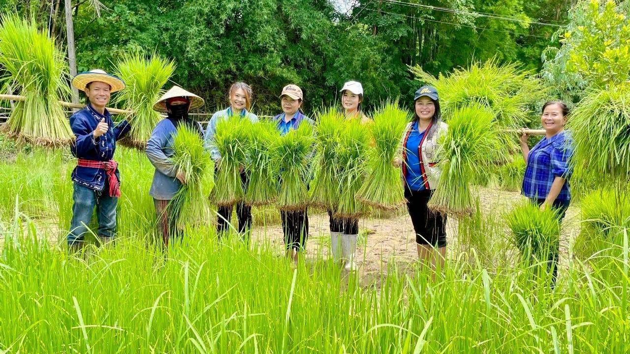 ภาพบรรยากาศ วิสาหกิจชุมชนท่องเที่ยวบ้านท่าลาด ลำดับที่ 8