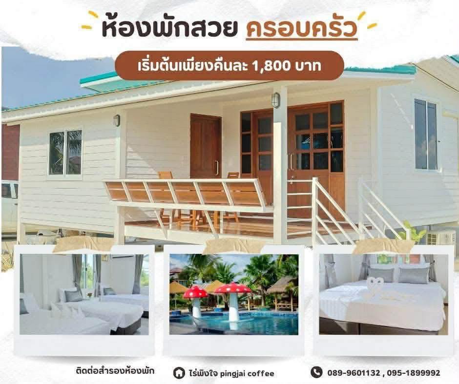 ภาพบรรยากาศ ไร่พิงใจ ลำดับที่ 9