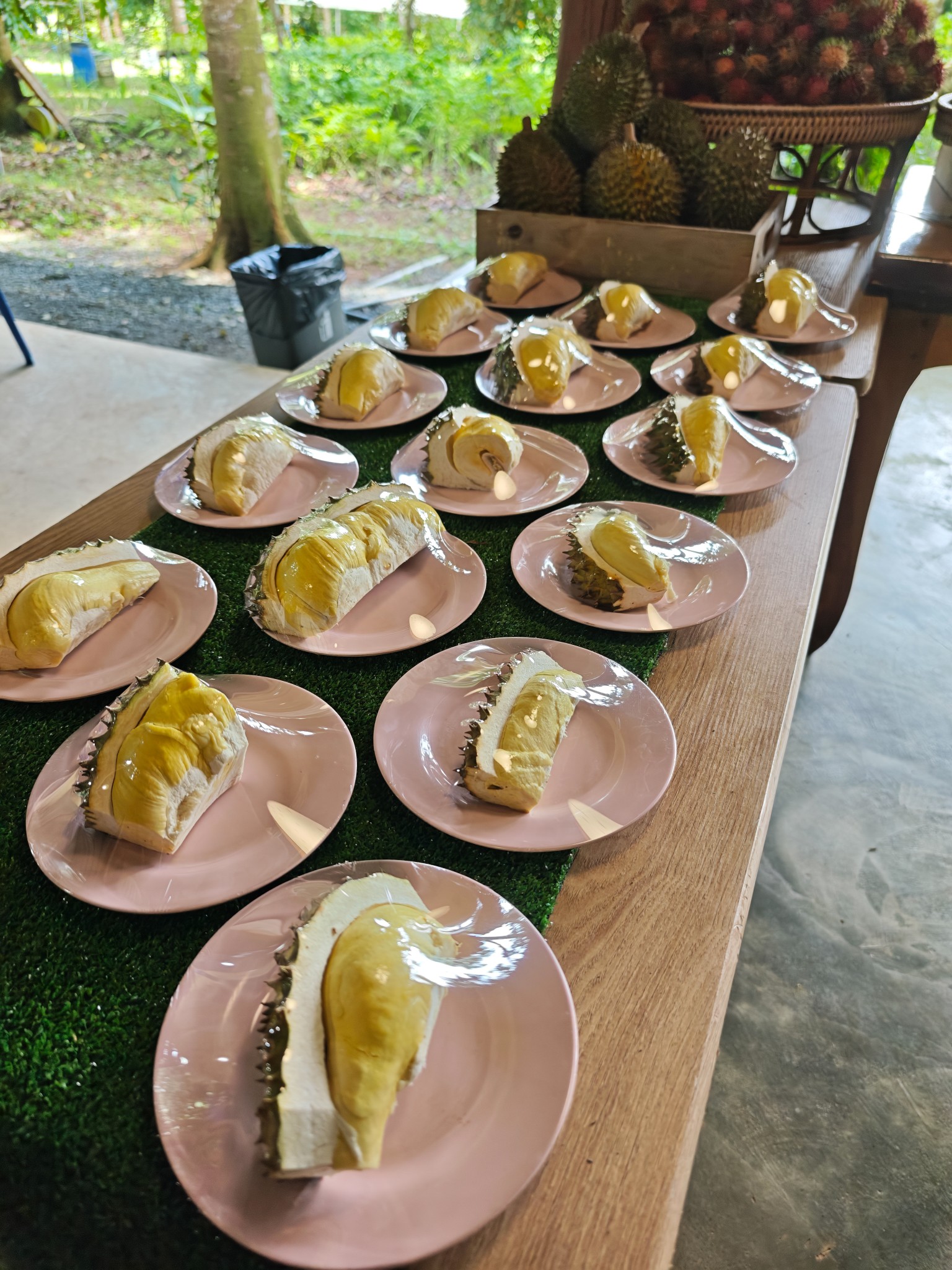 ภาพบรรยากาศ สวนผลอำไพ - Organic fruit ลำดับที่ 9