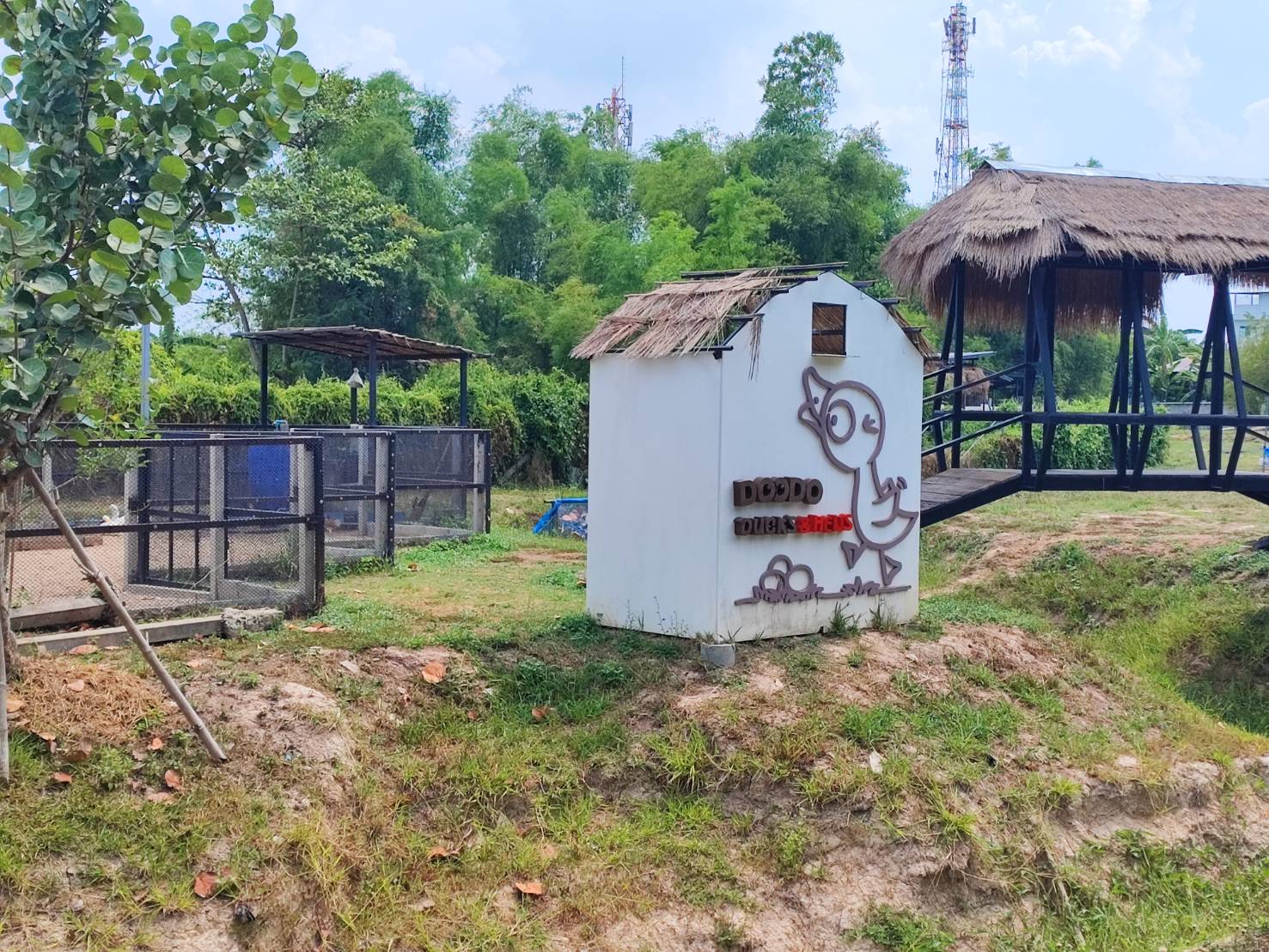 ภาพบรรยากาศ DooDo Backyard Farm ลำดับที่ 2