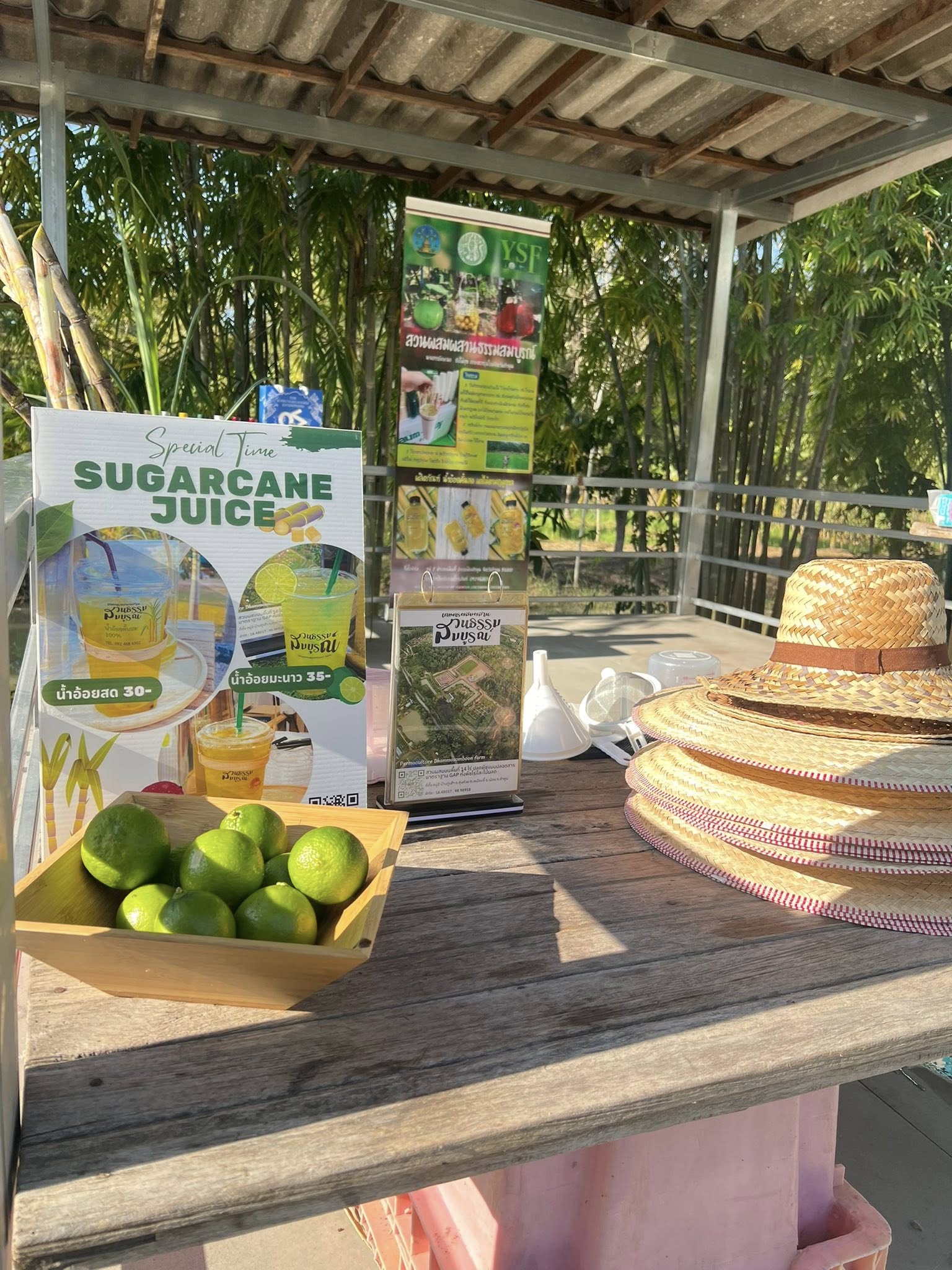 ภาพบรรยากาศ สวนผสมผสานธรรมสมบูรณ์ (วิสาหกิจชุมชนทรัพย์รุ่งเรืองกิจ) ลำดับที่ 11