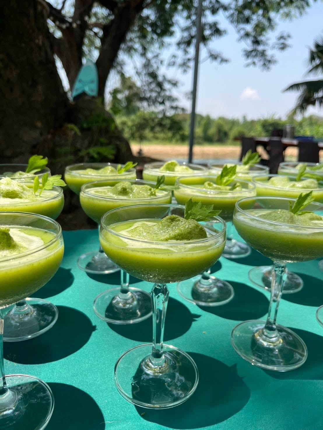 ภาพบรรยากาศ วิสาหกิจชุมชนริเช่ฟาร์ม ลำดับที่ 10