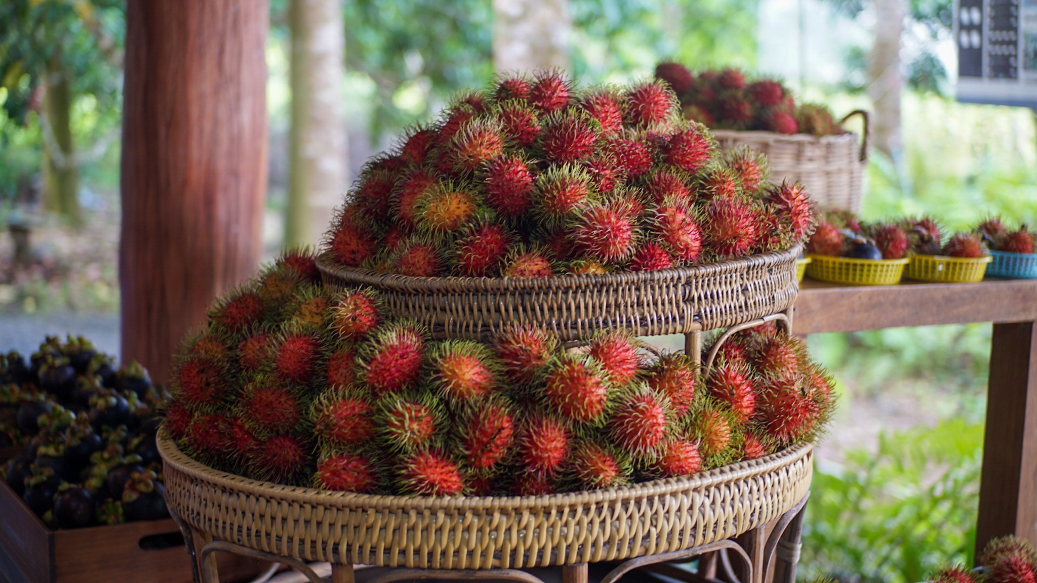 ภาพบรรยากาศ สวนผลอำไพ - Organic fruit ลำดับที่ 4