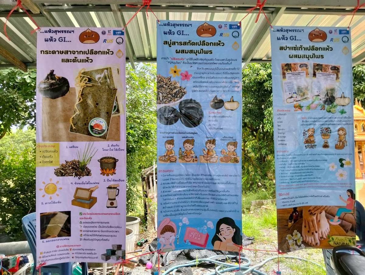ภาพบรรยากาศ สมหวังที่วังยาง ลำดับที่ 1