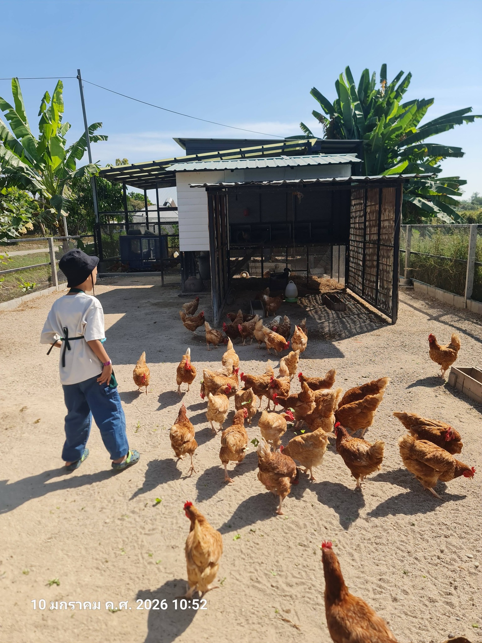 ภาพบรรยากาศ DooDo Backyard Farm ลำดับที่ 7