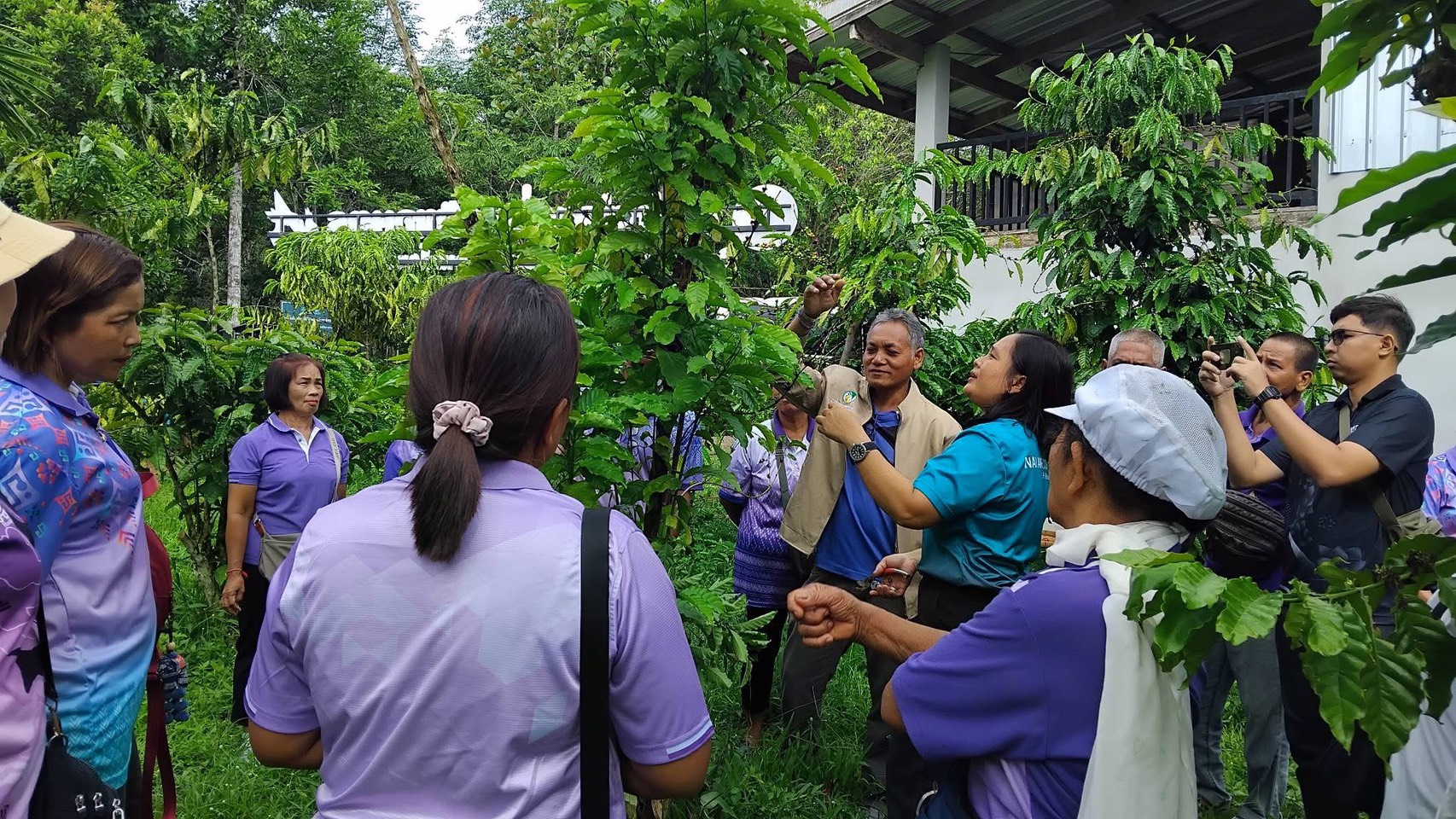 ภาพบรรยากาศ แหล่งท่องเที่ยวเชิงเกษตรวิสาหกิจชุมขนผลิตกาแฟพรีเมี่ยมกาแฟโรบัสต้า จ.สตูล ลำดับที่ 9