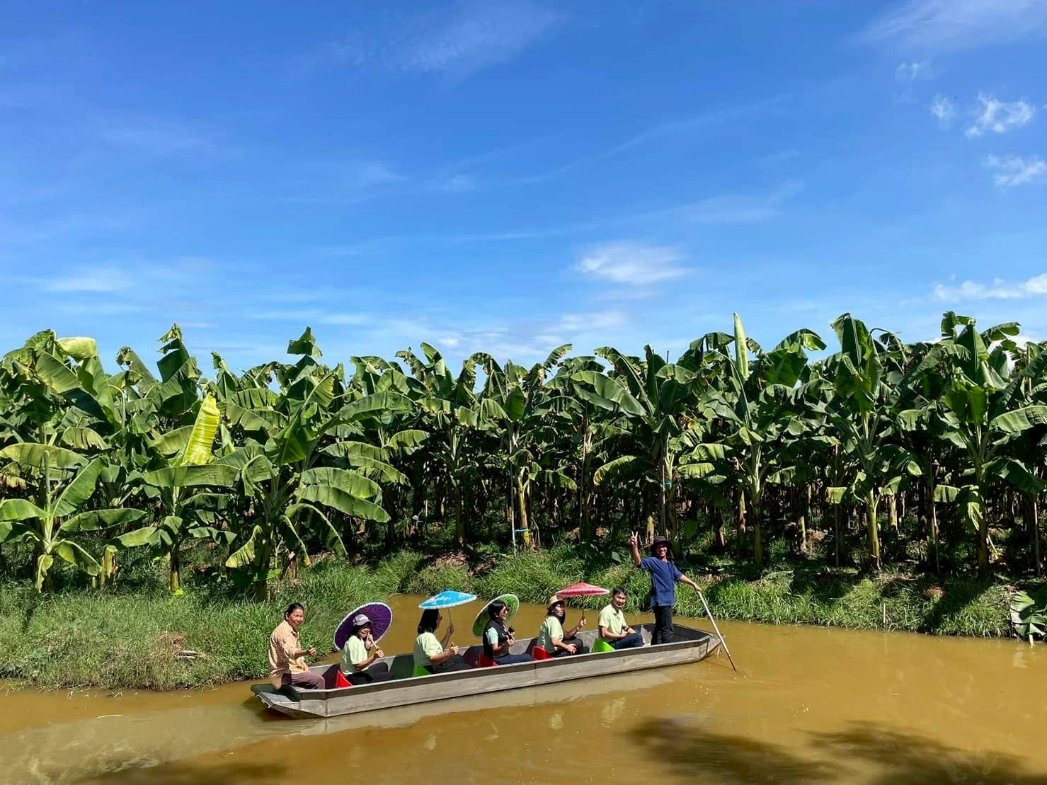 ภาพบรรยากาศ วิสาหกิจชุมชนกลุ่มกล้วยหอมทองปทุมรัตน์ ลำดับที่ 11
