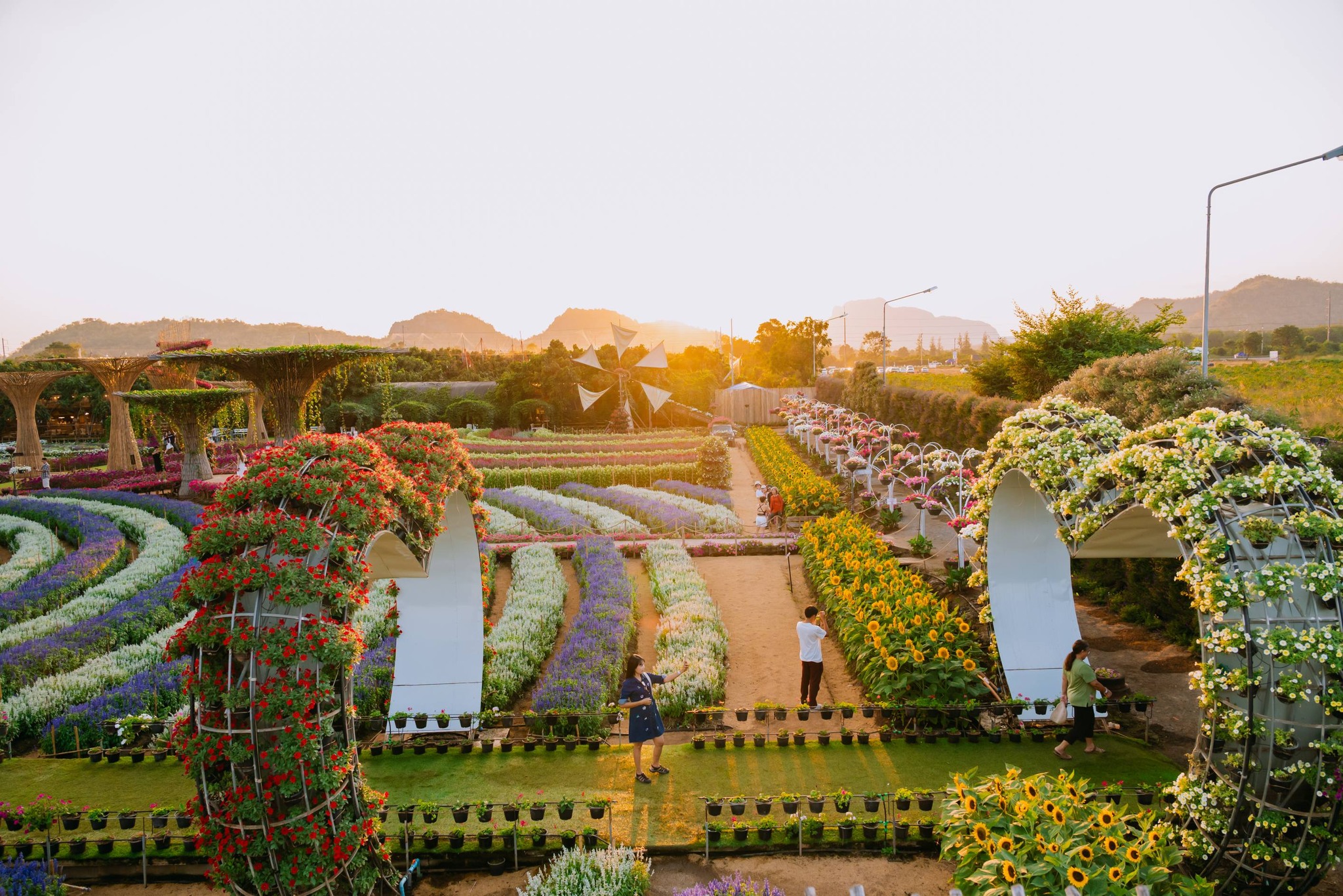ภาพบรรยากาศ Maple Gardens - สวนเมเปิ้ล กาญจนบุรี ลำดับที่ 7