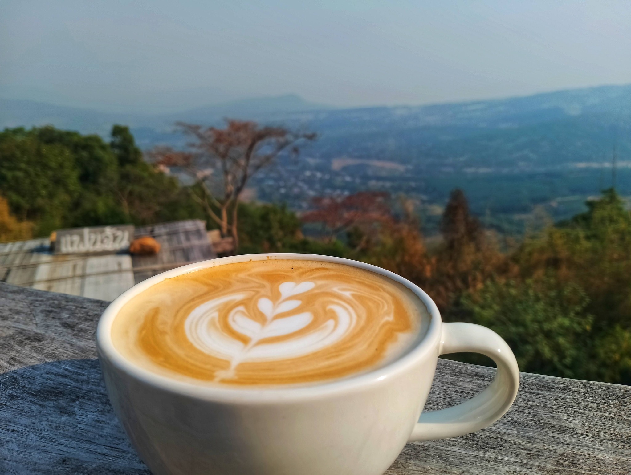 ภาพบรรยากาศ ไร่แฟนฉันกาแฟห้อยขา ลำดับที่ 15