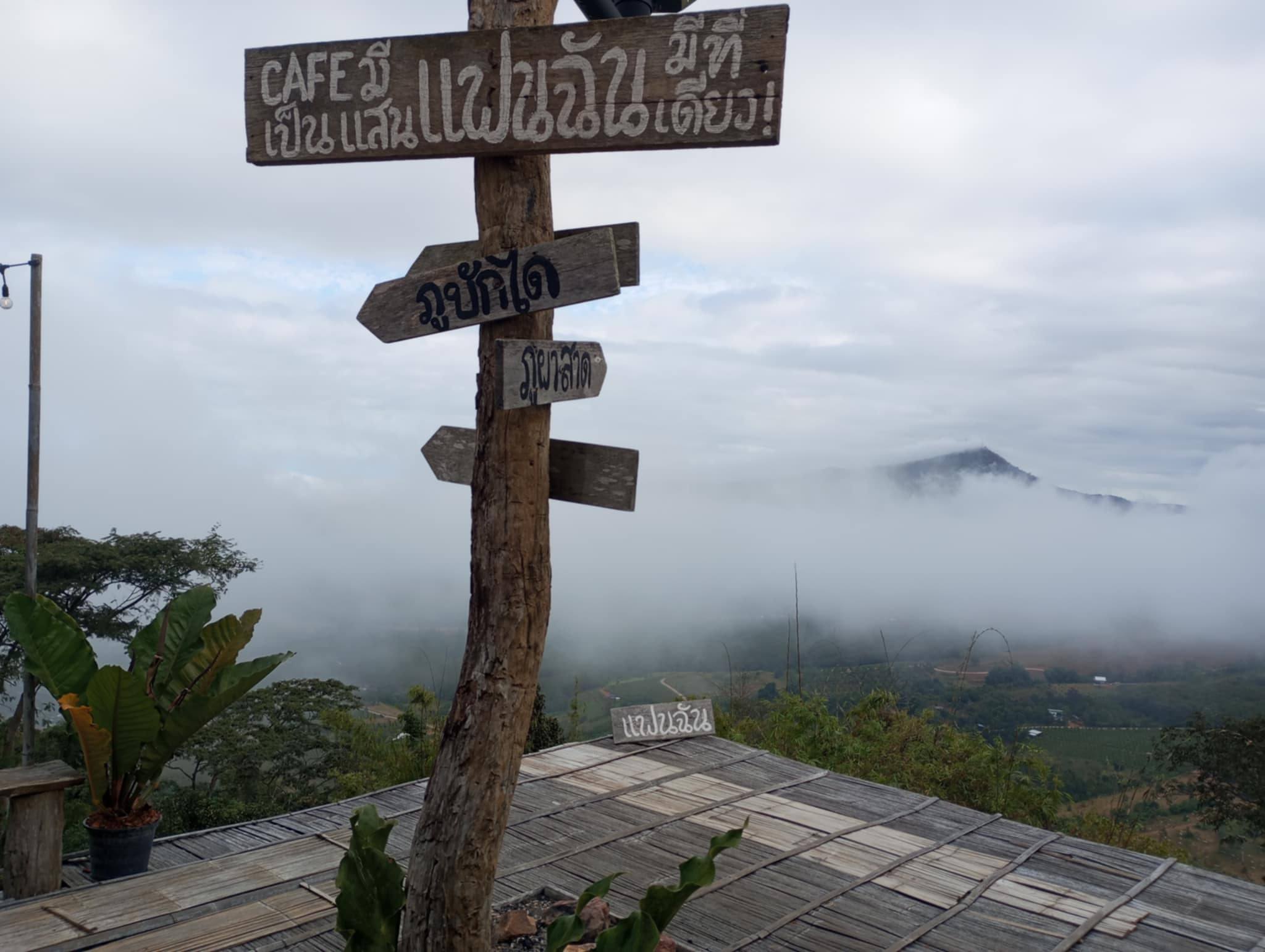 ภาพบรรยากาศ ไร่แฟนฉันกาแฟห้อยขา ลำดับที่ 9