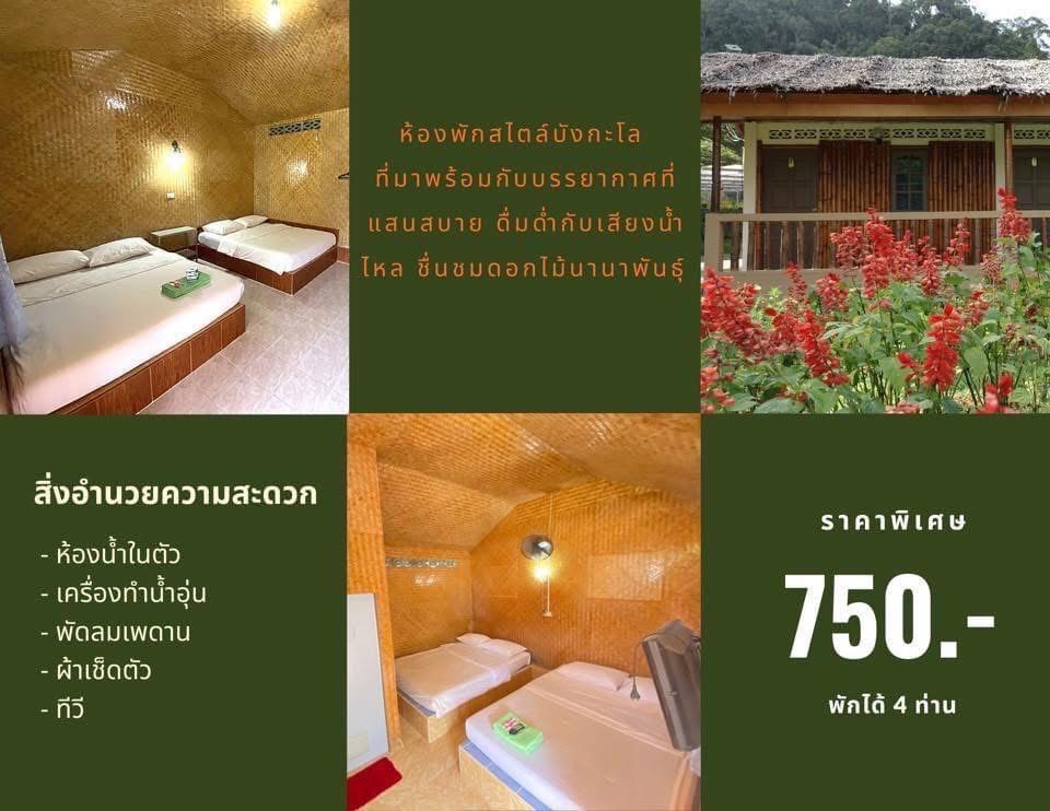 ภาพบรรยากาศ วิสาหกิจชุมชนกลุ่มดอกไม้ดอกเมืองหนาวบ้าน ปิยะมิตร 2 ลำดับที่ 3