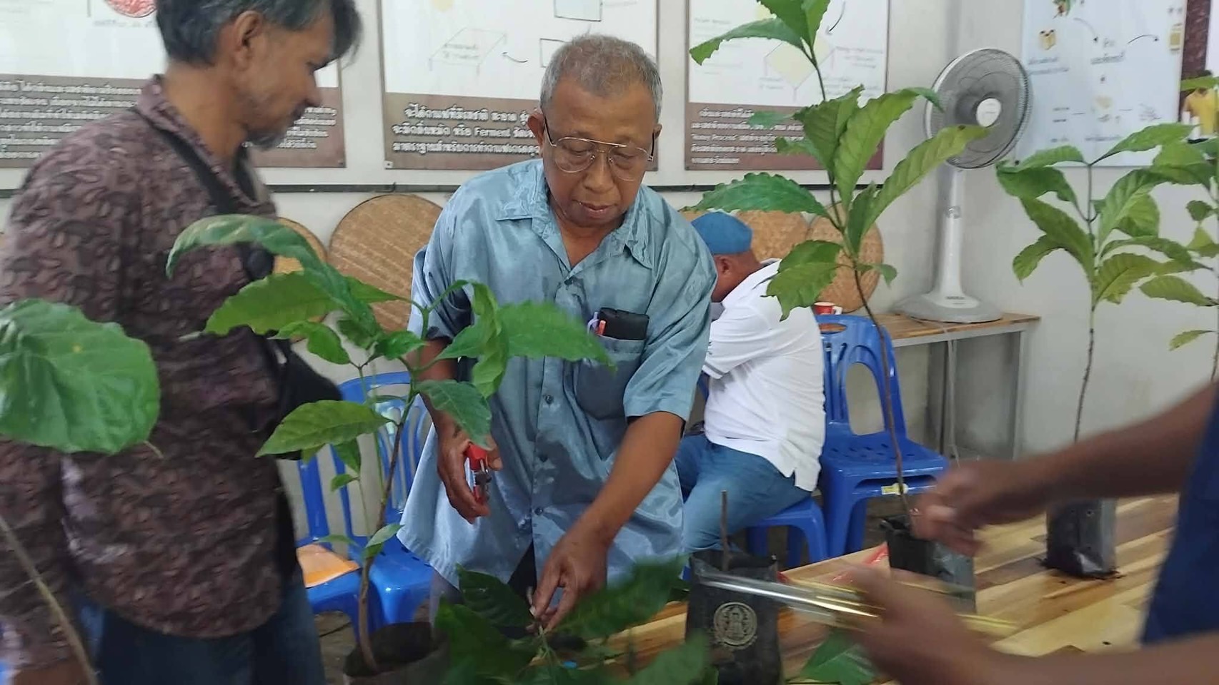 ภาพบรรยากาศ แหล่งท่องเที่ยวเชิงเกษตรวิสาหกิจชุมขนผลิตกาแฟพรีเมี่ยมกาแฟโรบัสต้า จ.สตูล ลำดับที่ 1