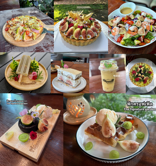 ภาพบรรยากาศ The FIGnature Garden ลำดับที่ 7