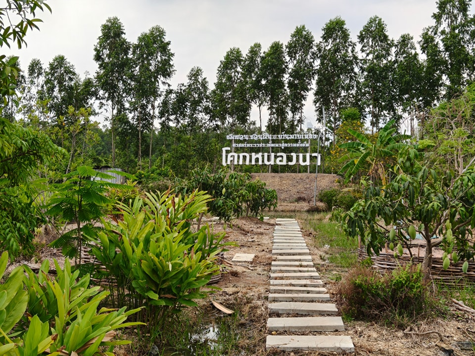ภาพบรรยากาศ วิสาหกิจชุมชนกลุ่มผลิตมะม่วงนอกฤดูบ้านมาบเหียง ลำดับที่ 9