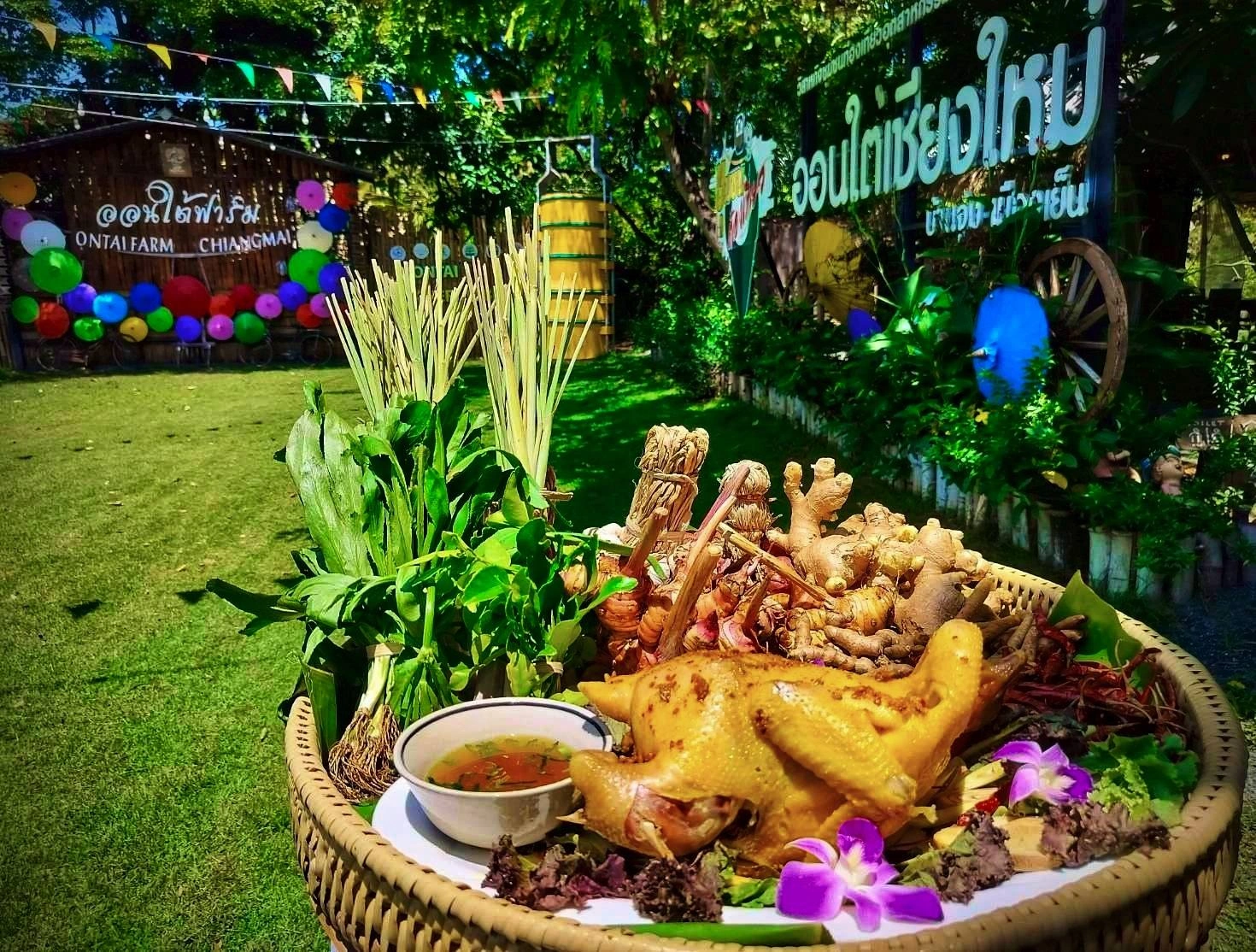 ภาพบรรยากาศ ออนใต้ฟาร์ม (Ontai Farm) ลำดับที่ 14