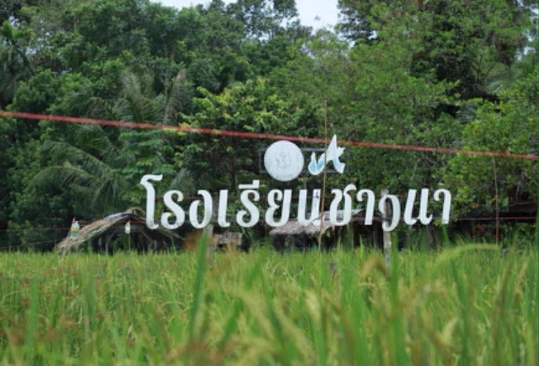 ภาพบรรยากาศ วิสาหกิจชุมชนกลุ่มนาข้าวอินทรีย์บ้านเจ๊ะเหม (โรงเรียนชาวนา) ลำดับที่ 7