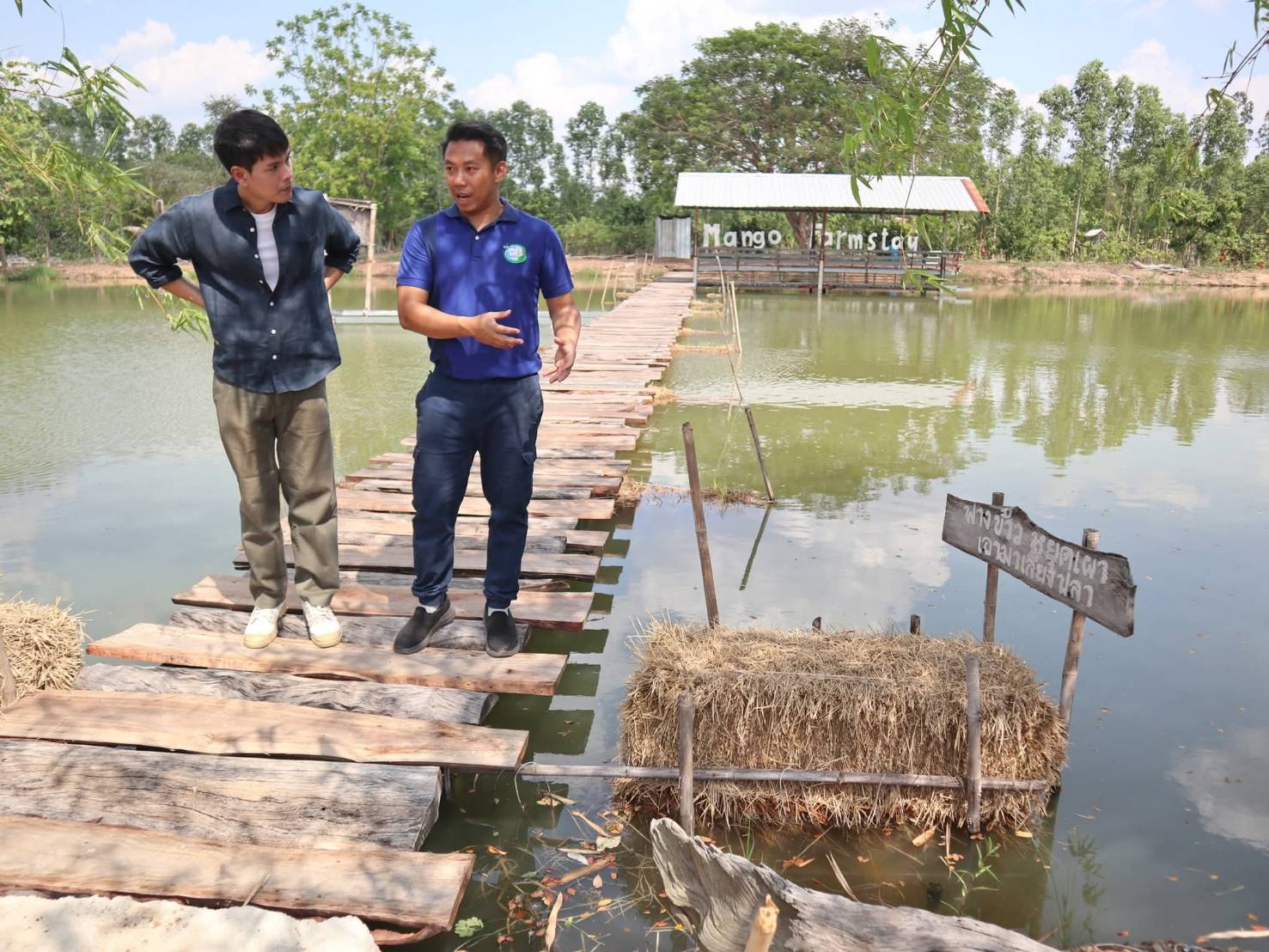 ภาพบรรยากาศ วิสาหกิจชุมชนกลุ่มผลิตมะม่วงนอกฤดูบ้านมาบเหียง ลำดับที่ 1