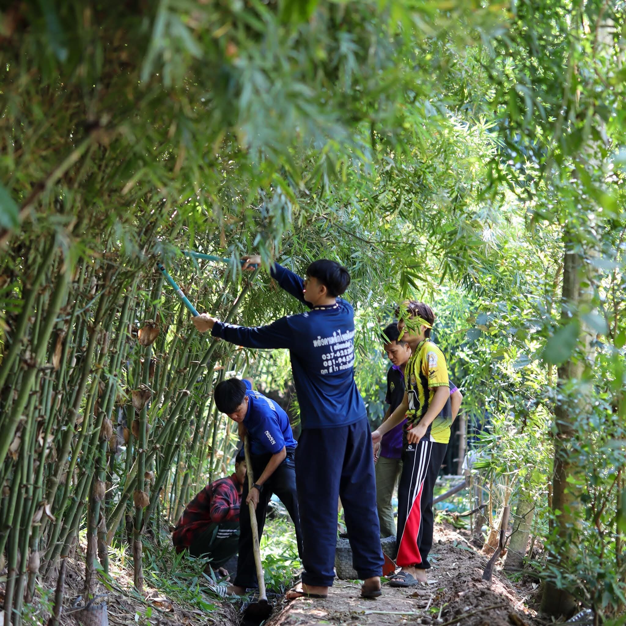 ภาพบรรยากาศ ไร่สุขพ่วง : Rai Sukphoang ลำดับที่ 8